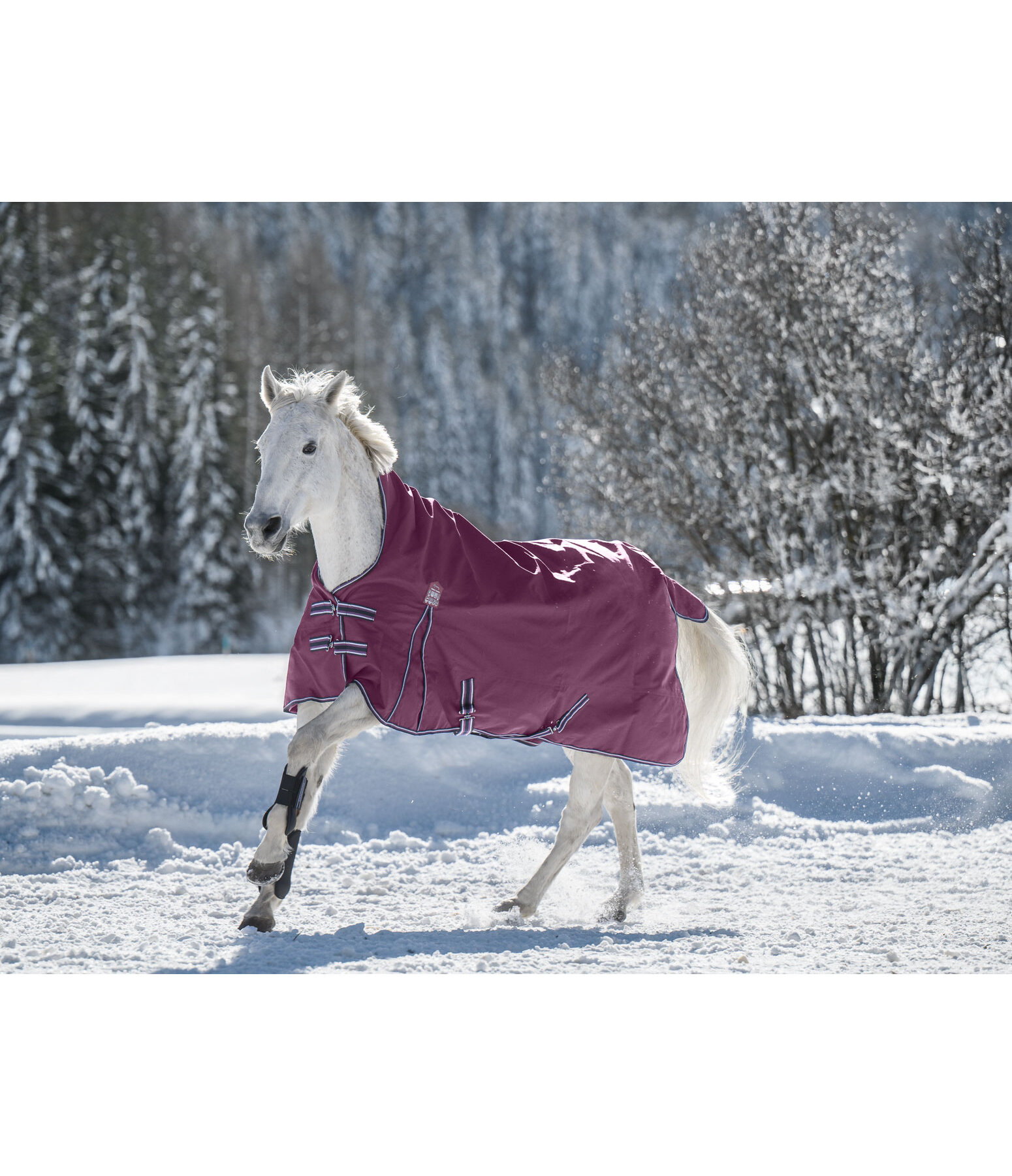 Highneck regendeken Kalina II, 0 g