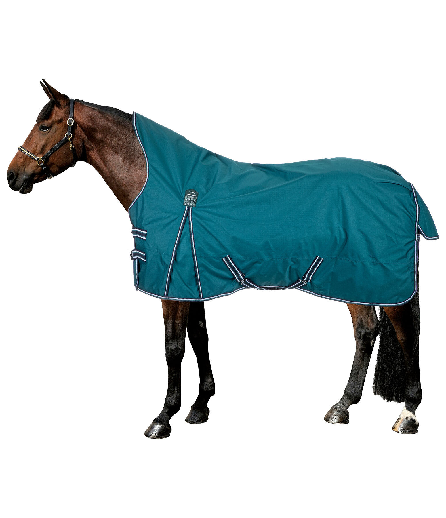 Highneck regendeken Kalina II, 100 g