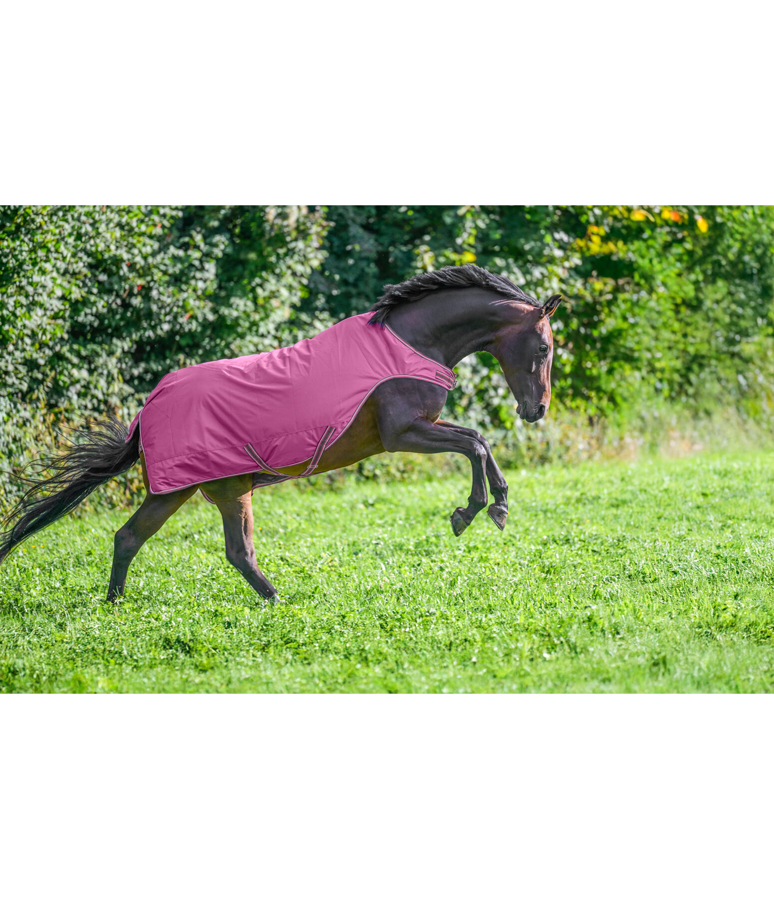 Outdoor Walker Kasimo II, 0 g