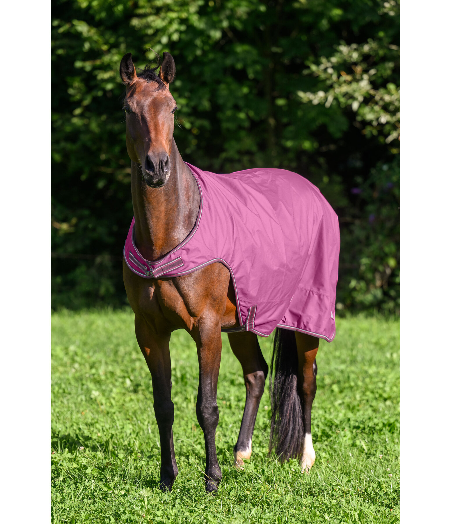 Outdoor Walker Kasimo II, 0 g