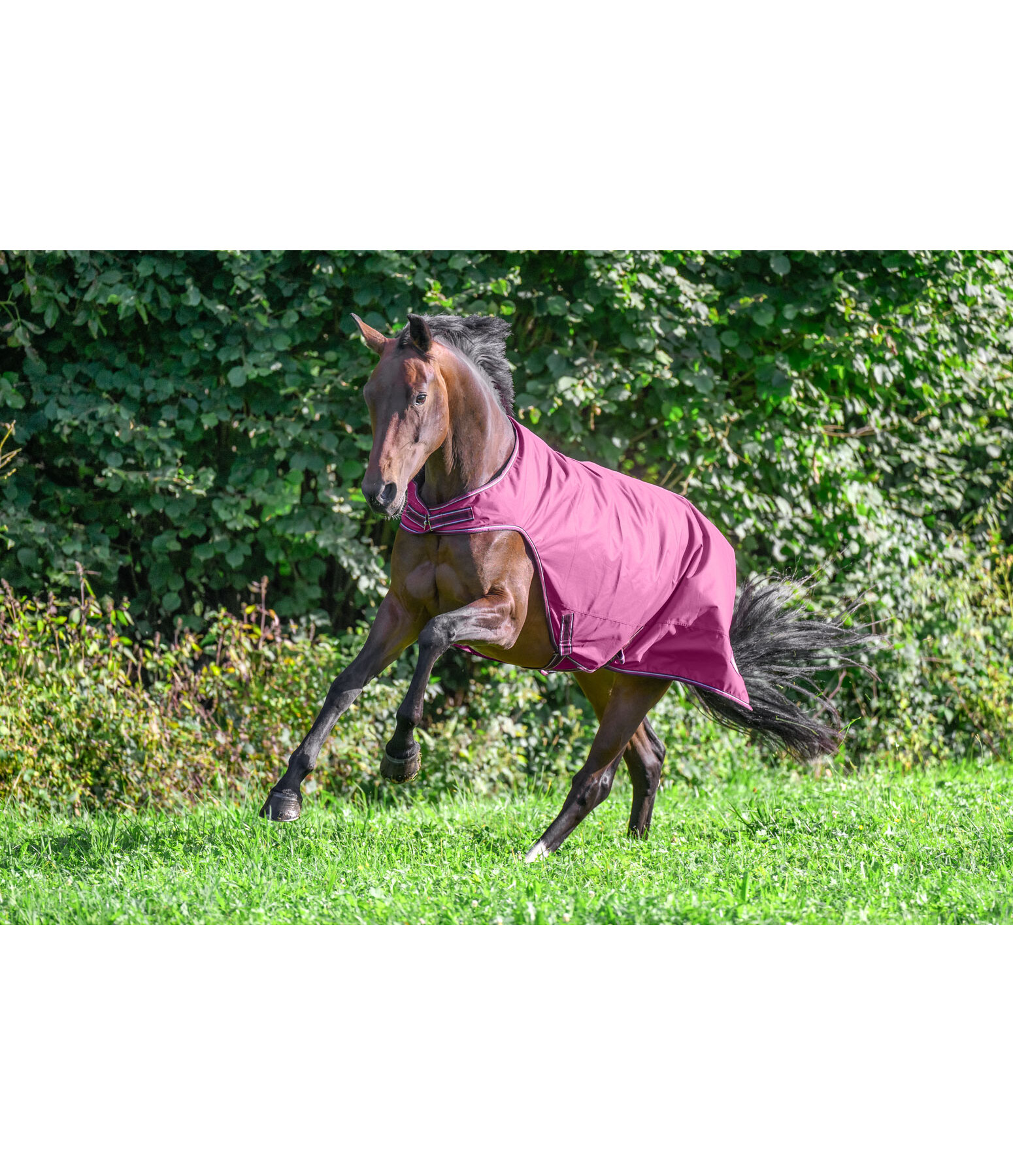 Outdoor Walker Kasimo II, 0 g