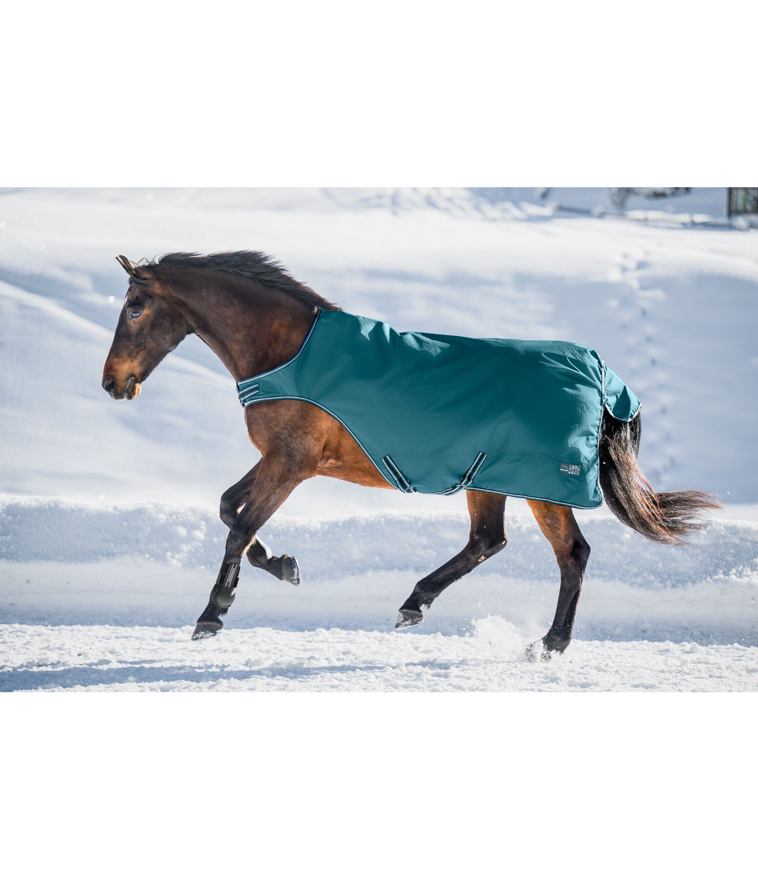 Outdoor Walker Kasimo II, 0 g