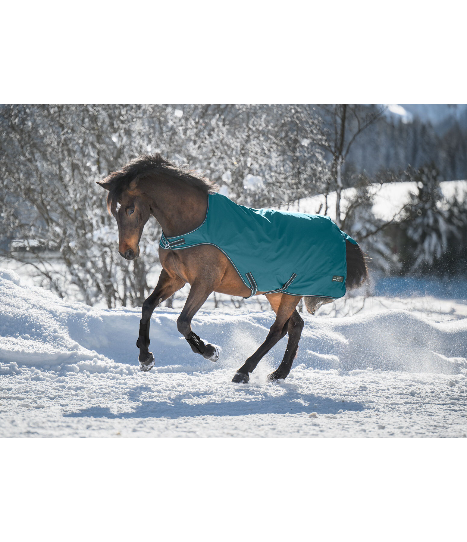 Outdoor Walker Kasimo II, 0 g