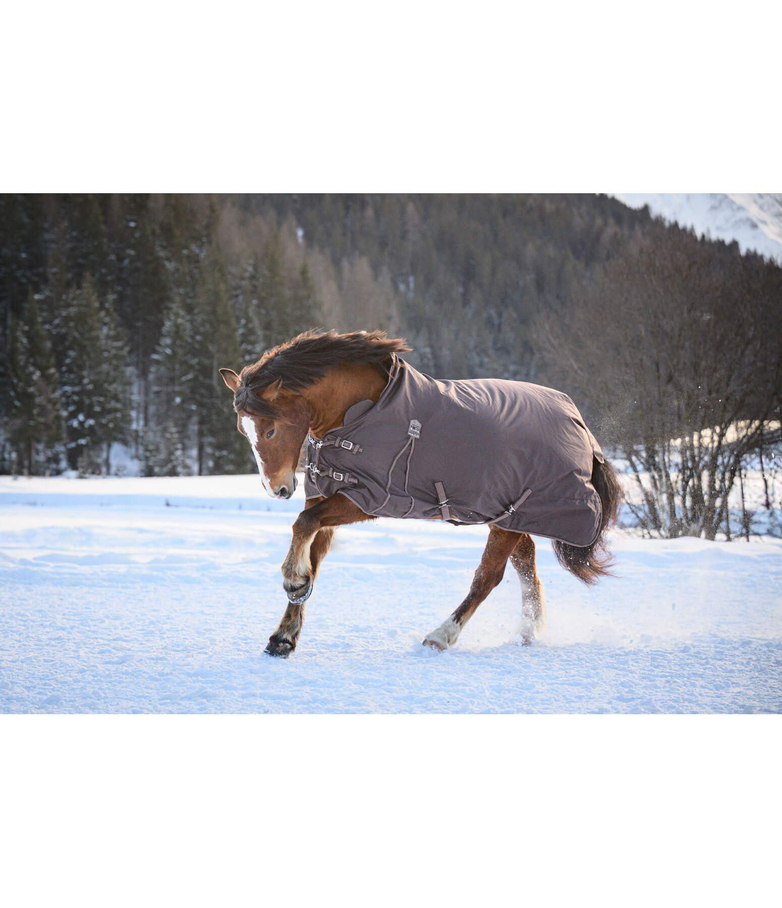 Highneck outdoordeken Jesco II met fleecevoering, 100g