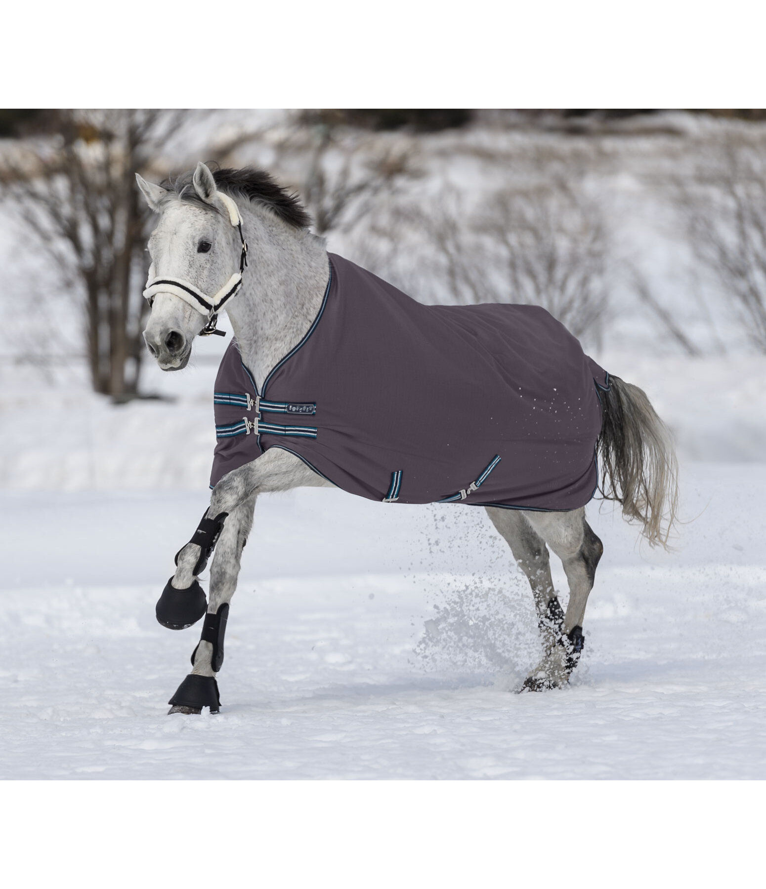 4in1 Regularneck outdoordeken met Multi-Layer-System, 0-300 g