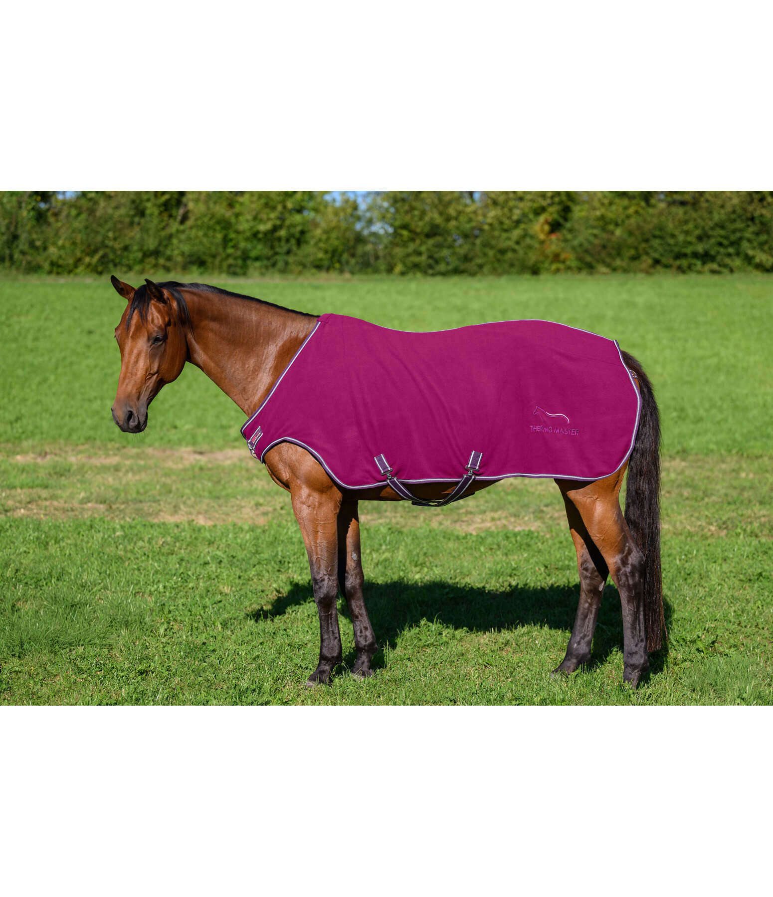 fleece Walker Activity