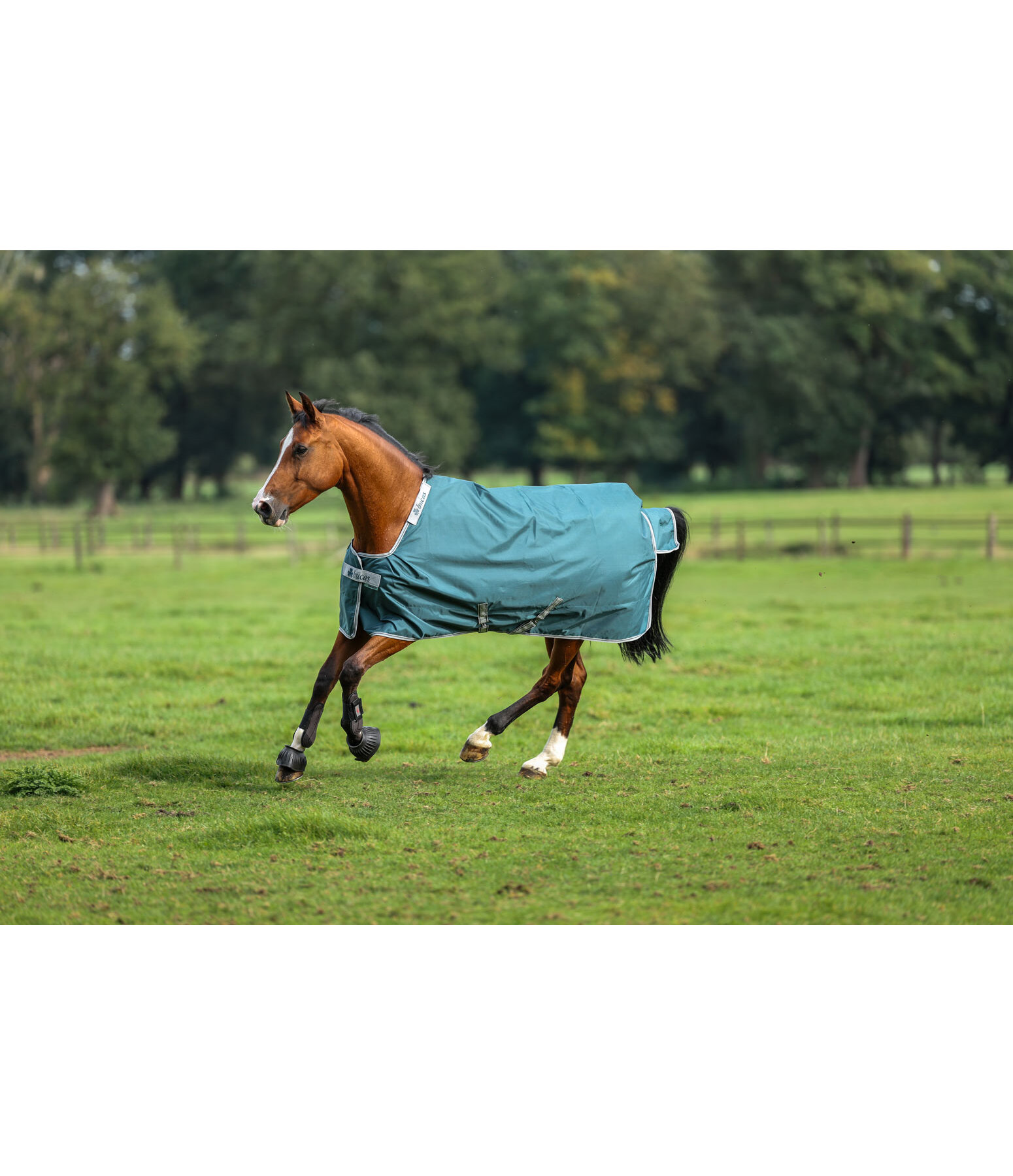 outdoordeken Atlantic Turnout 50 Regularneck met Dermo-Care, 50 g