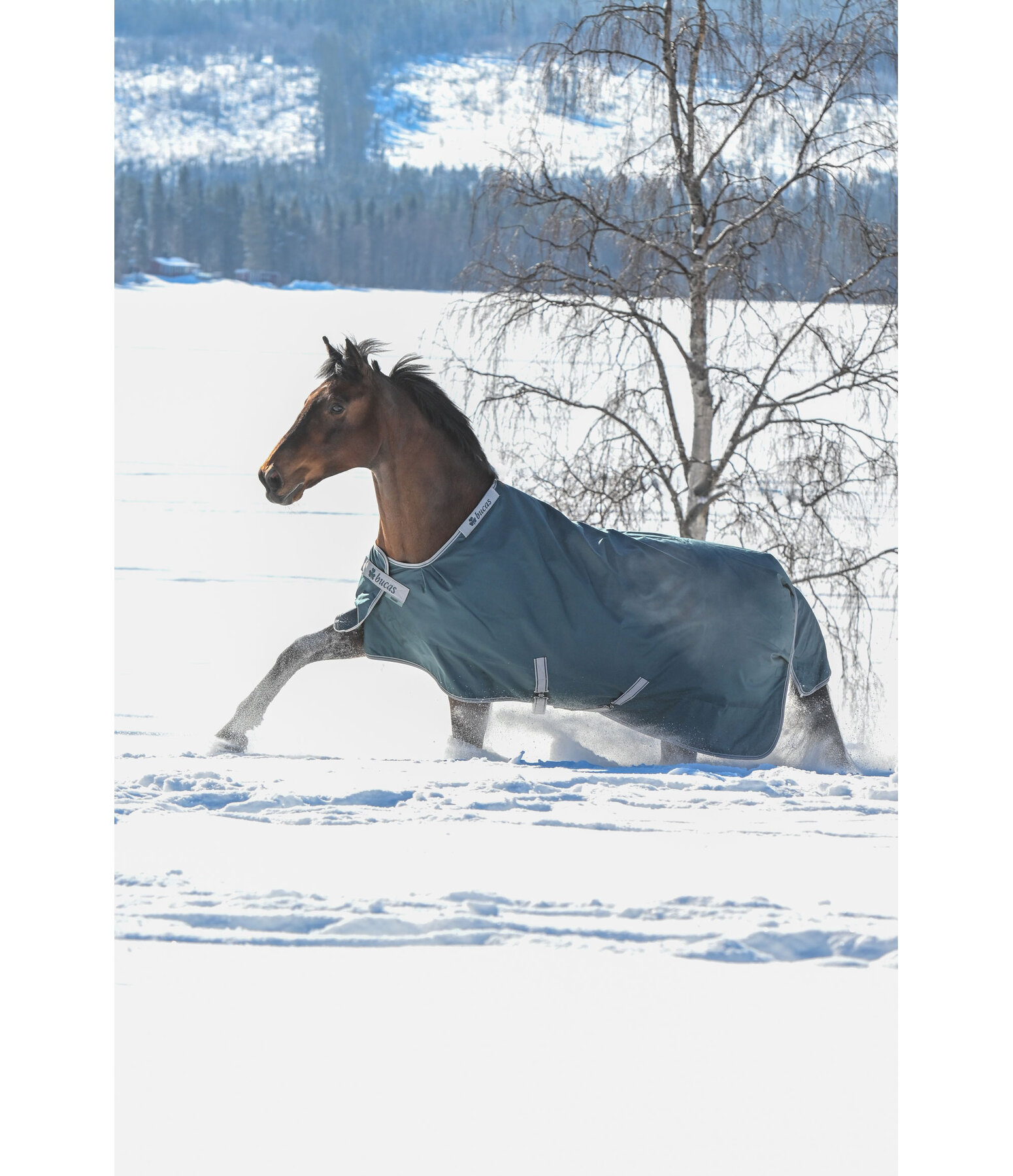 outdoordeken Atlantic Turnout 50 Regularneck met Dermo-Care, 50 g