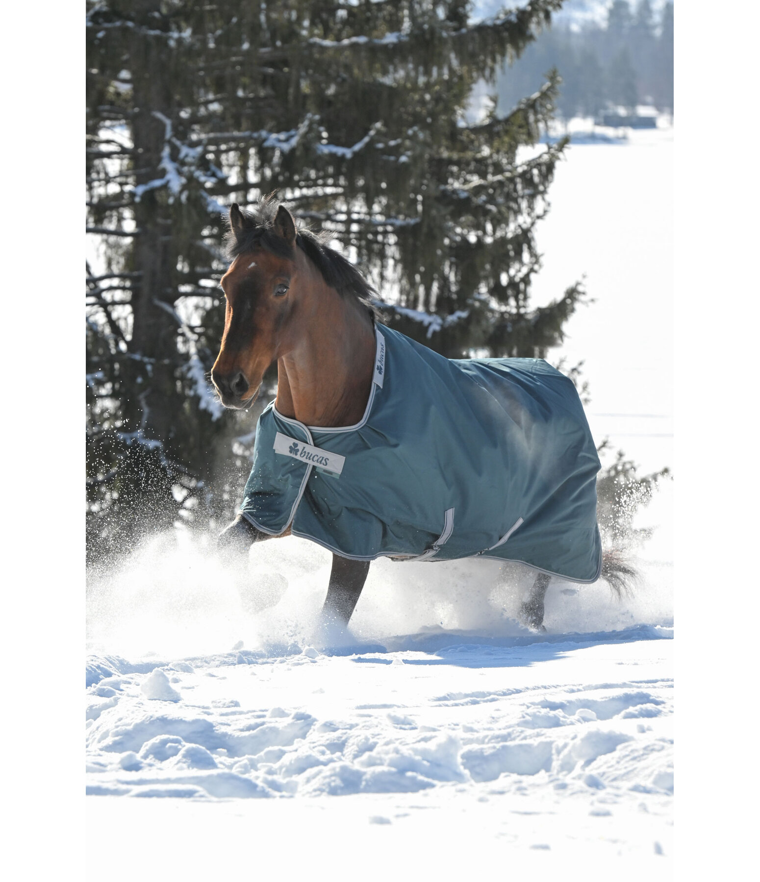 outdoordeken Atlantic Turnout 50 Regularneck met Dermo-Care, 50 g
