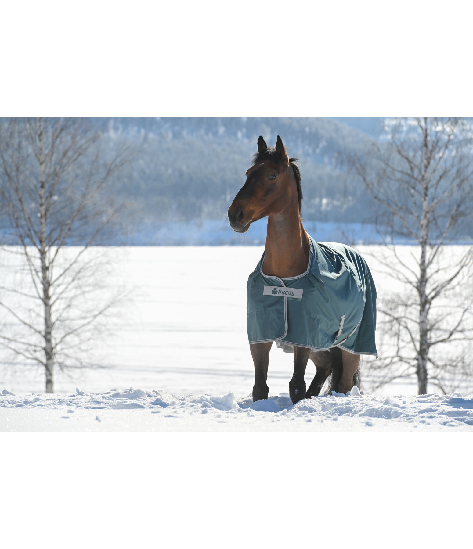outdoordeken Atlantic Turnout 50 Regularneck met Dermo-Care, 50 g