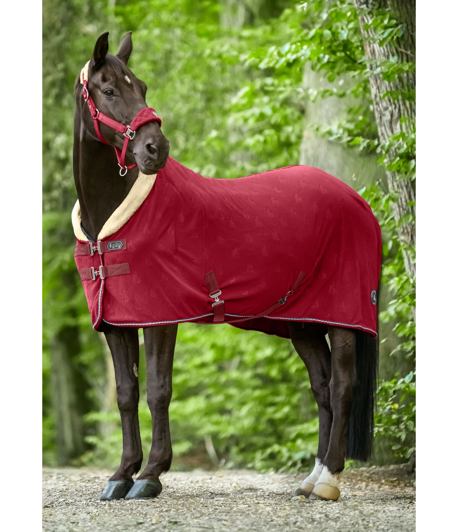 fleece zweetdeken Equestrian Sports