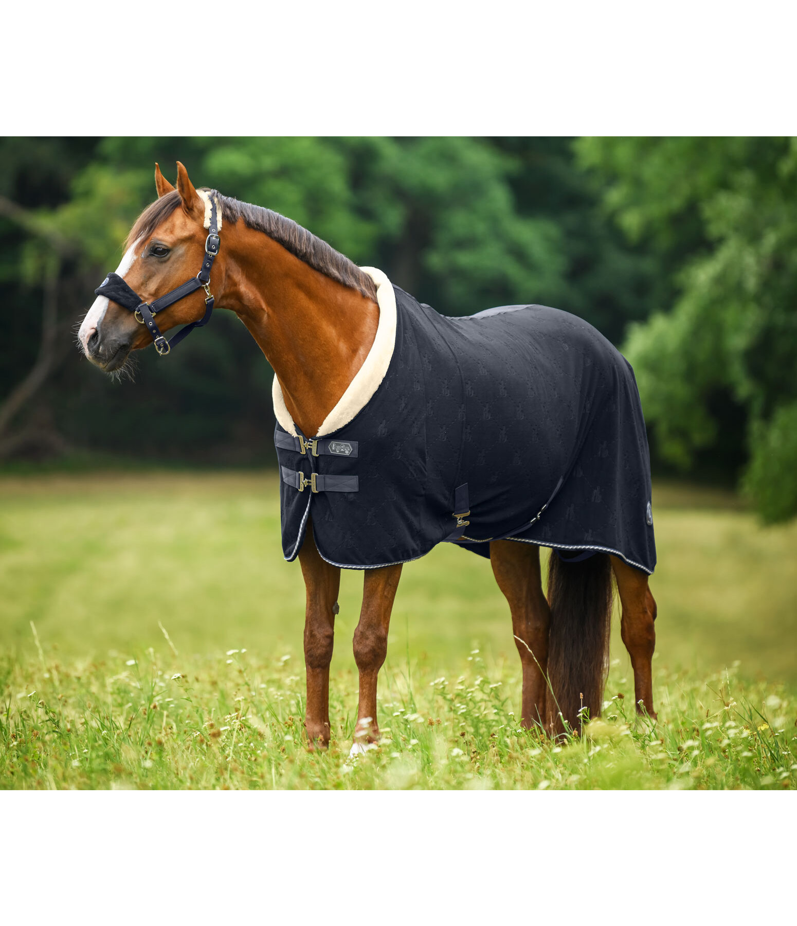 fleece zweetdeken Equestrian Sports