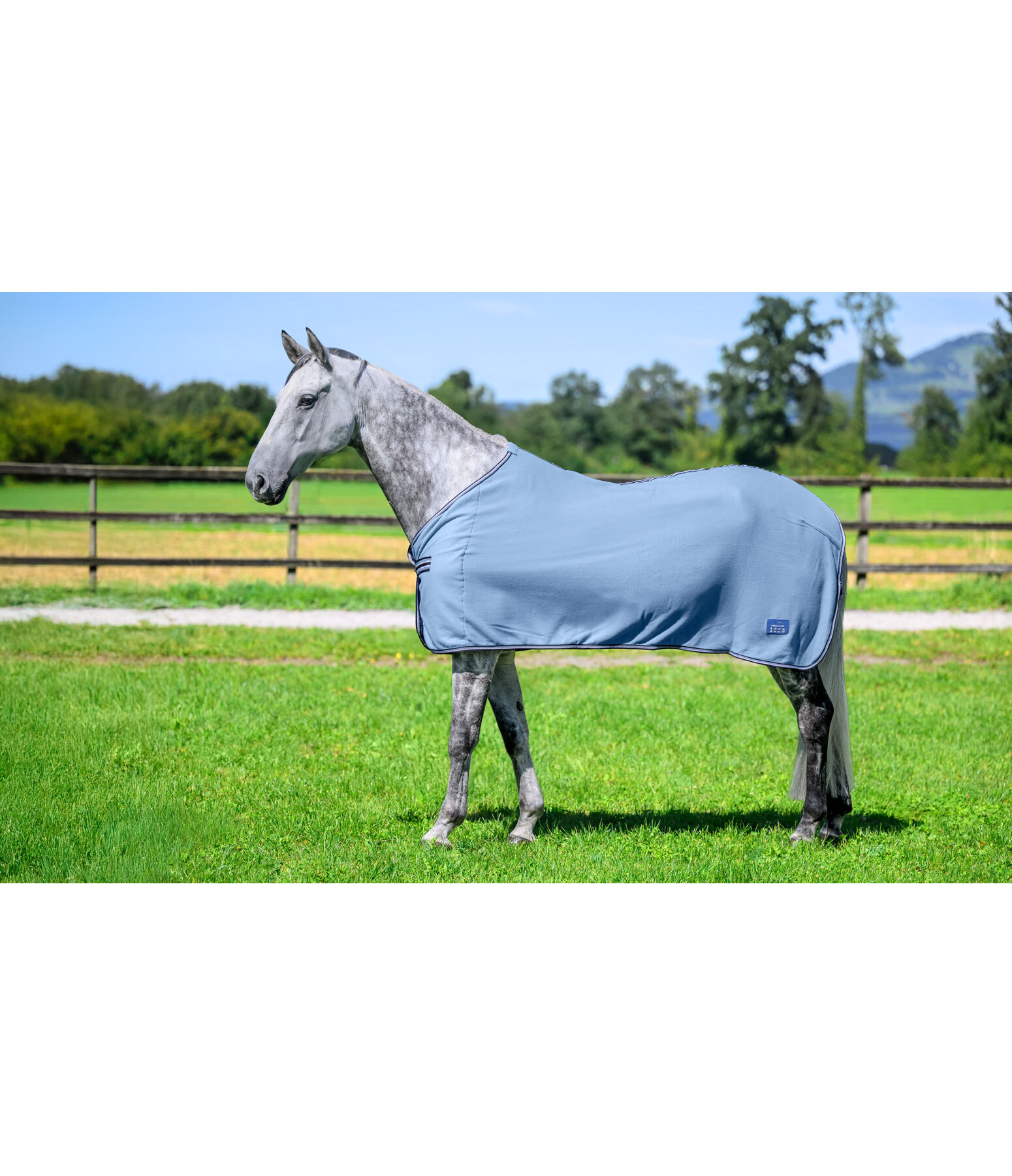 fleecedeken Economic