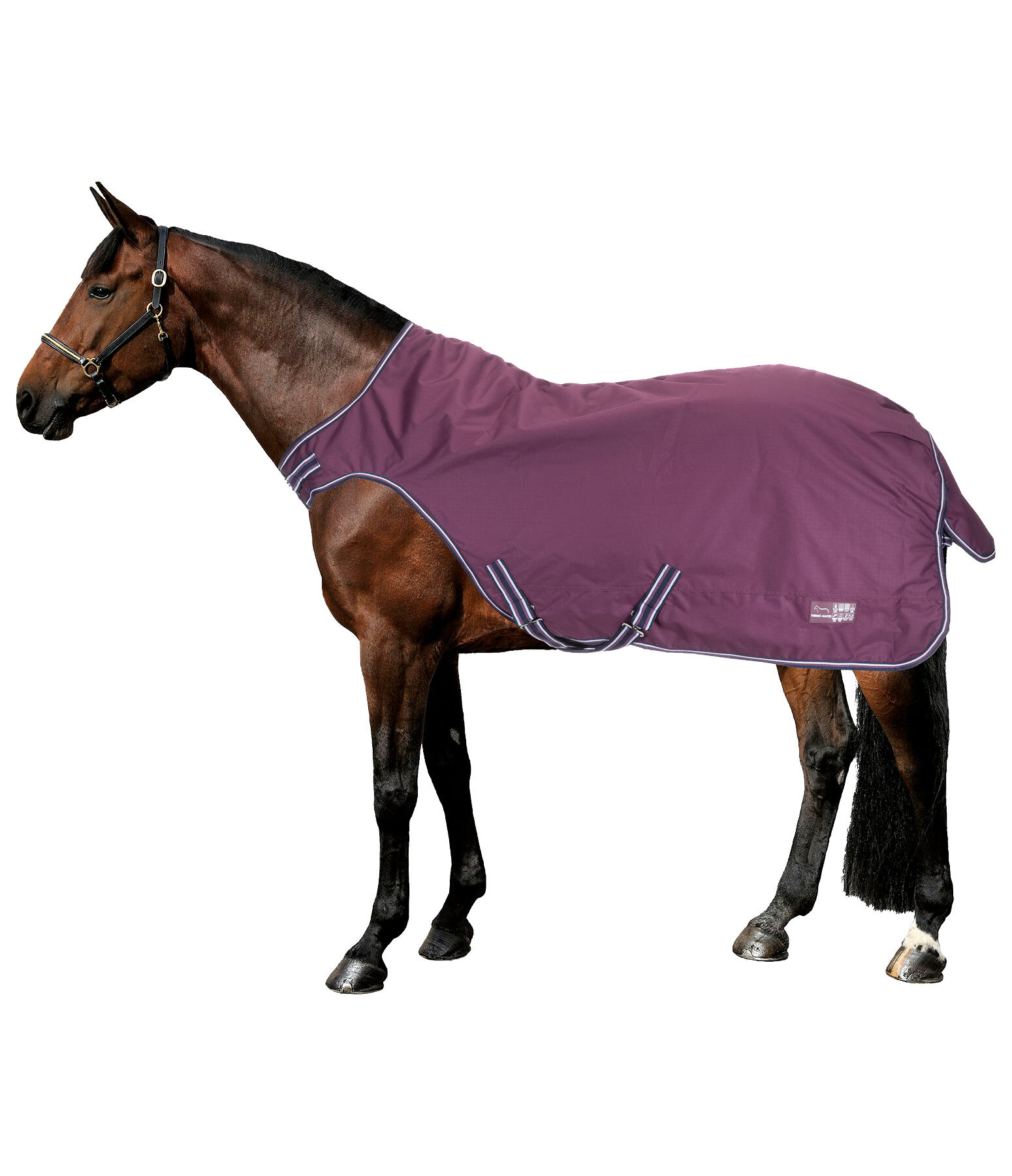 Outdoor Walker Kasimo II, 100 g