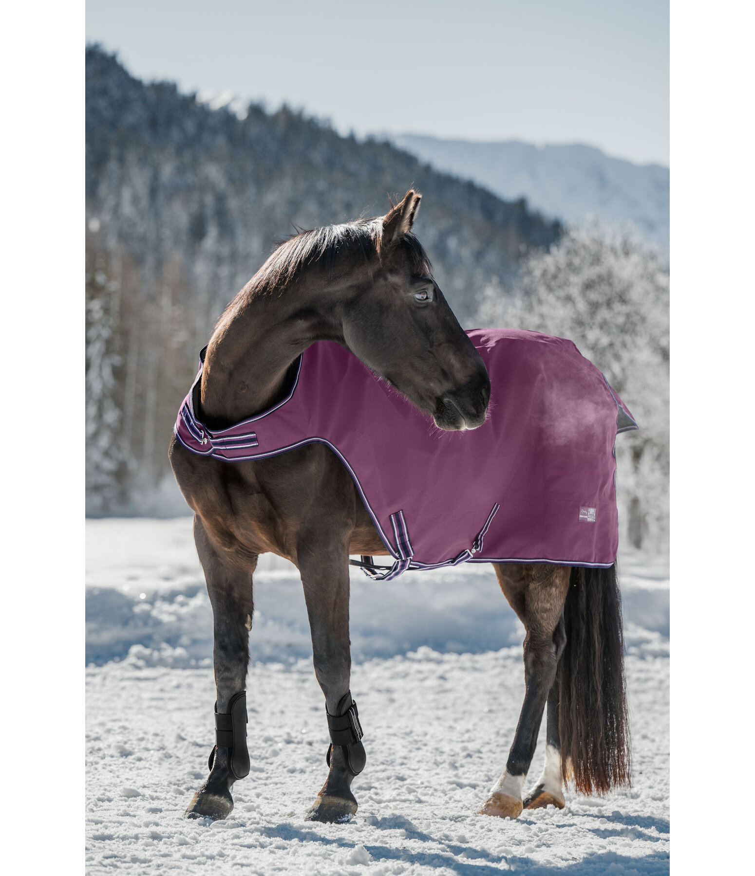 Outdoor Walker Kasimo II, 100 g