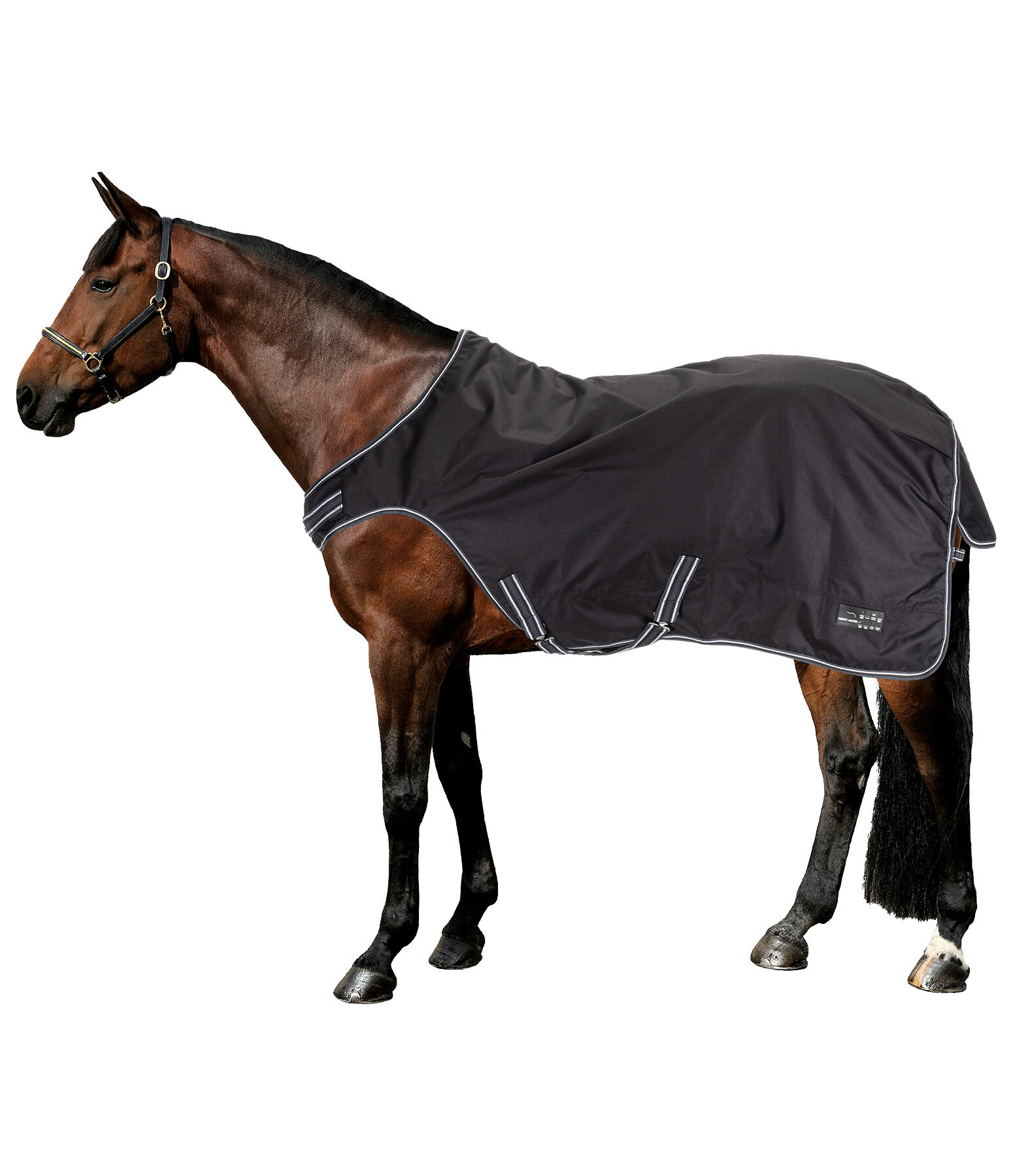 Outdoor Walker Kasimo II, 100 g