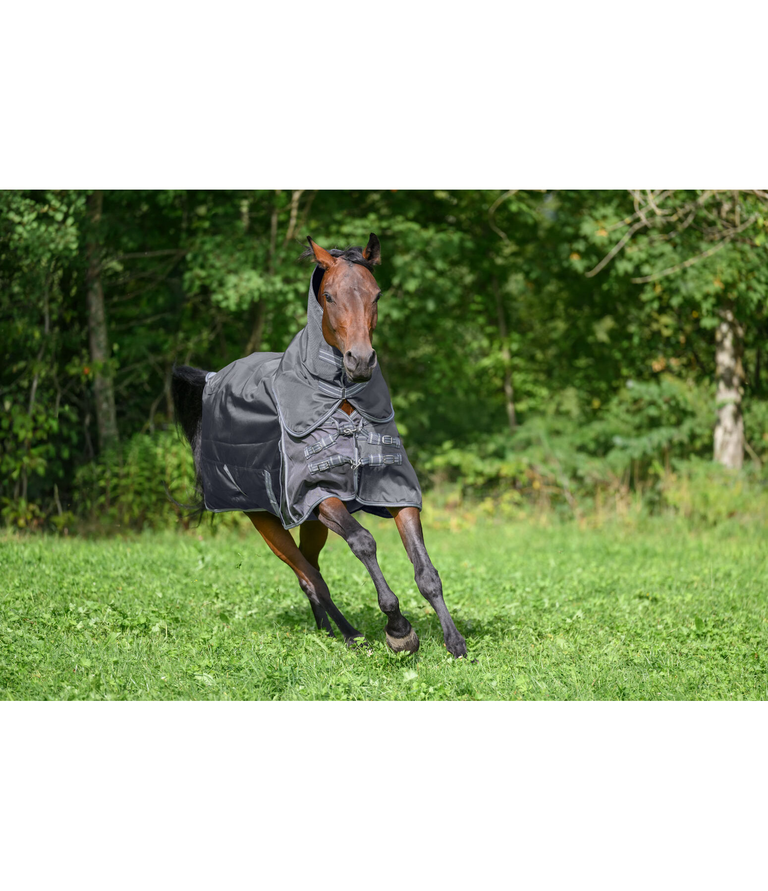 Perfect Fit Nylon PRO halsstuk, 0 g