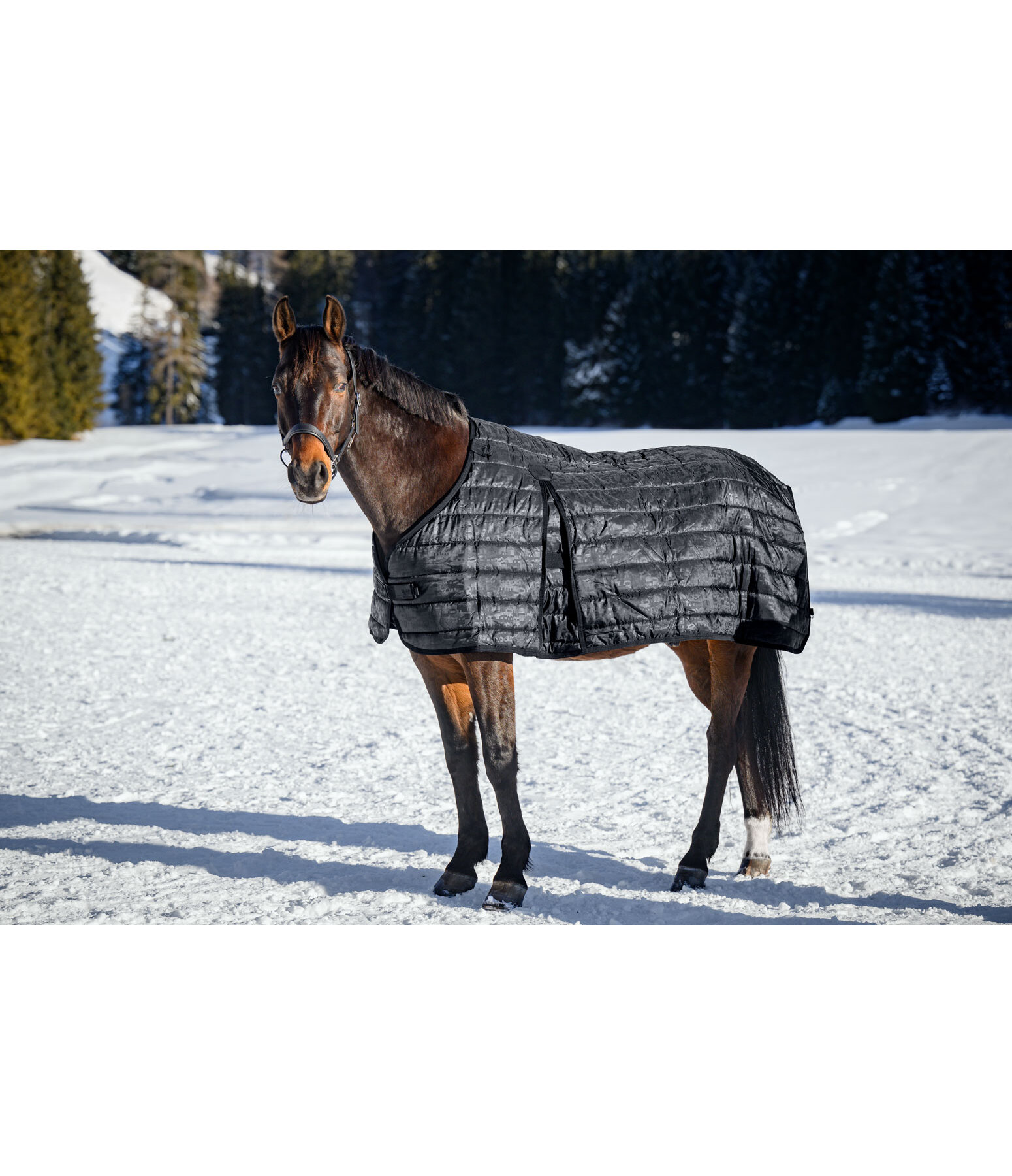Liner Liberty II, 300 g