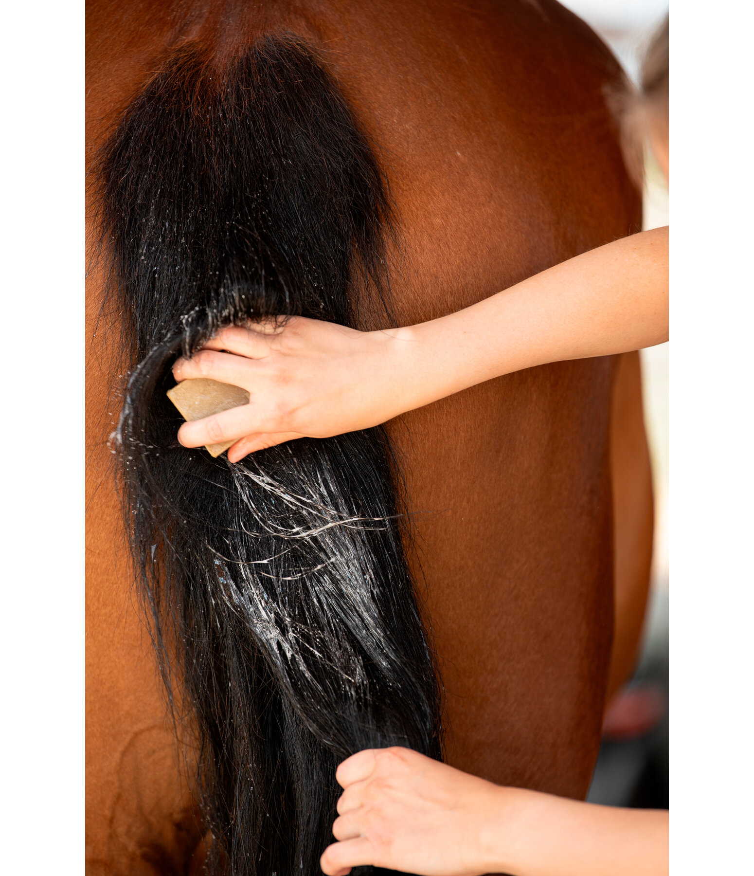 Natuurkracht paarden-verzorgingszeep