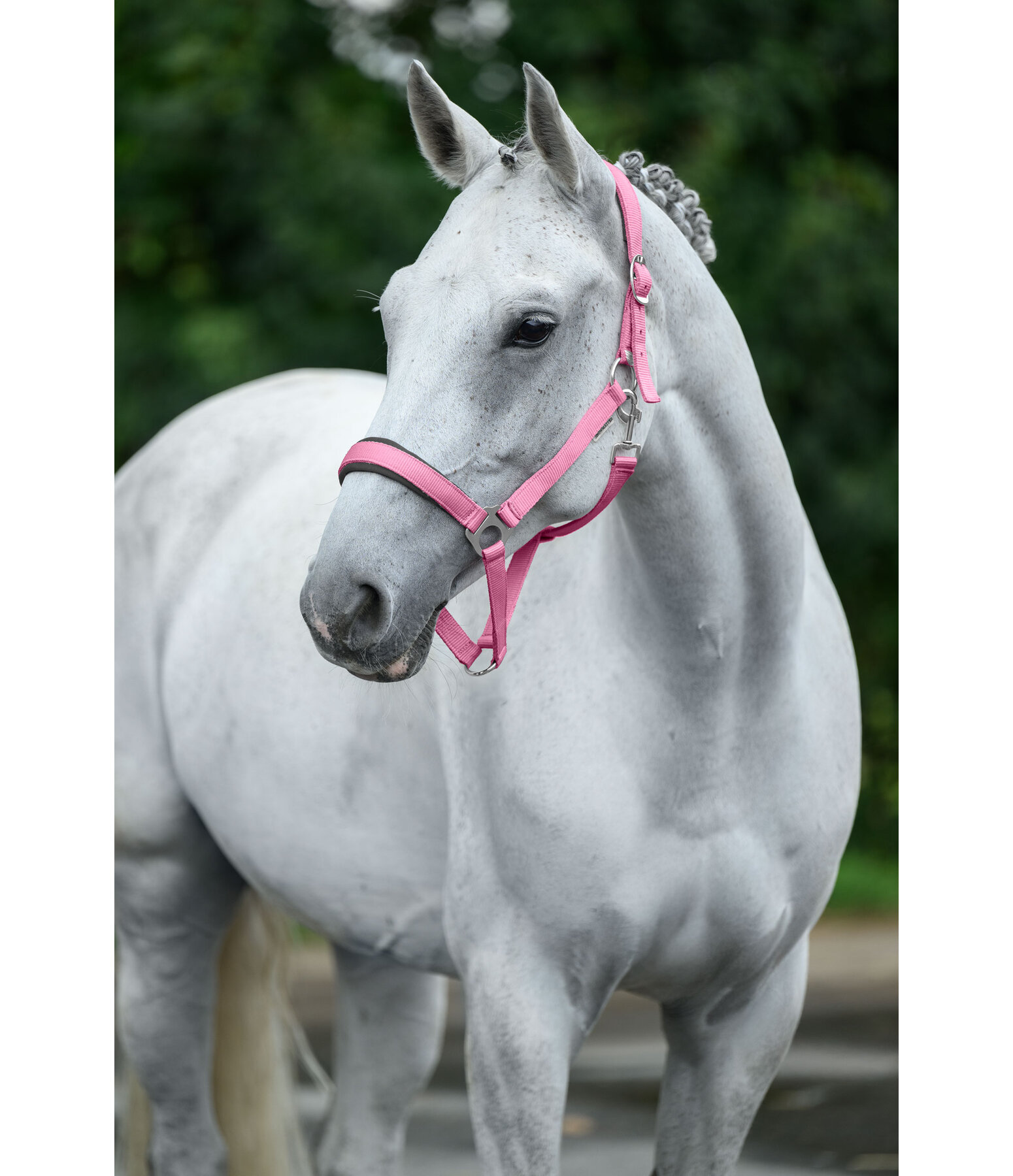 halster supervoordelig II