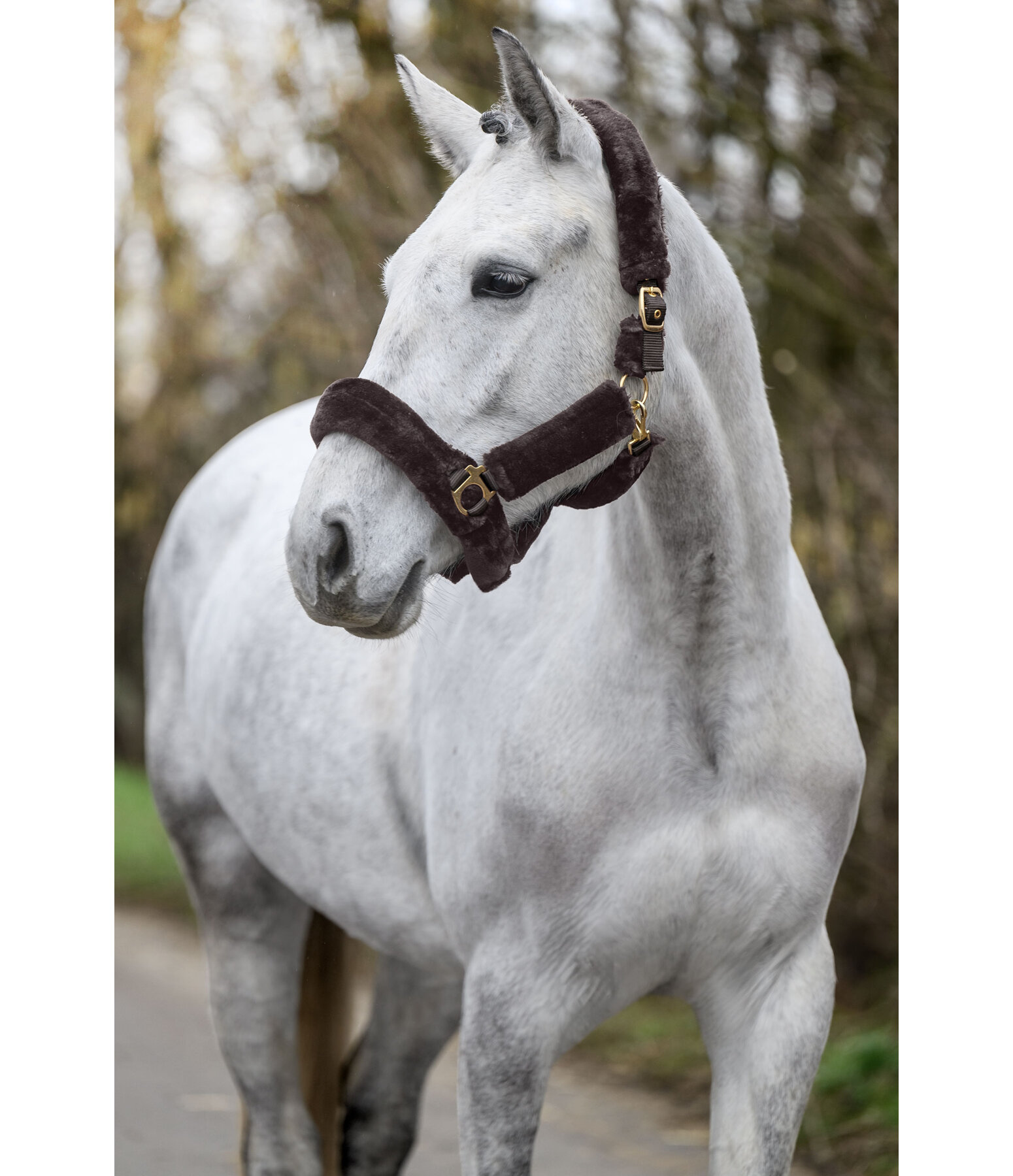 teddyfleece halster Protection