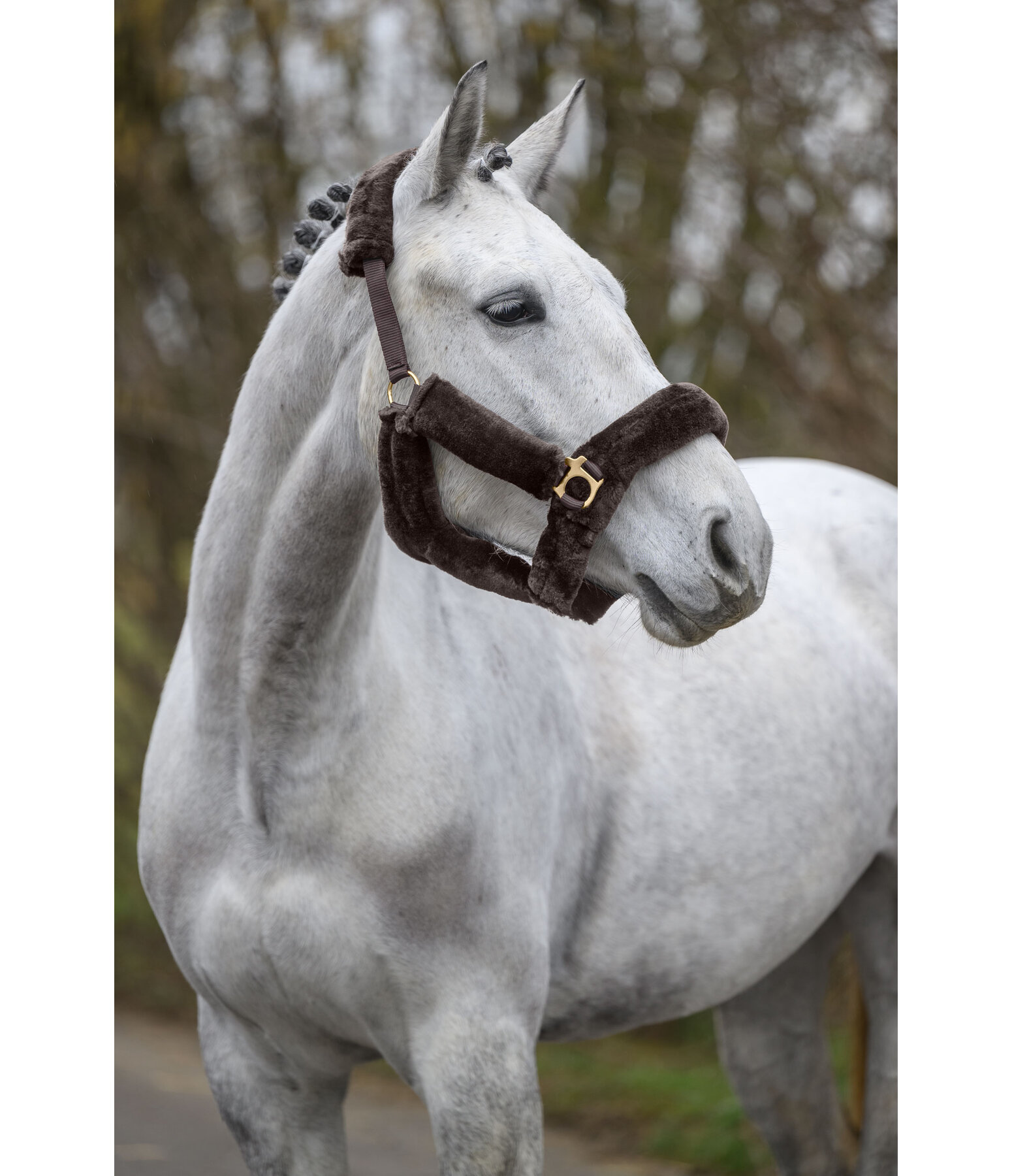 teddyfleece halster Protection