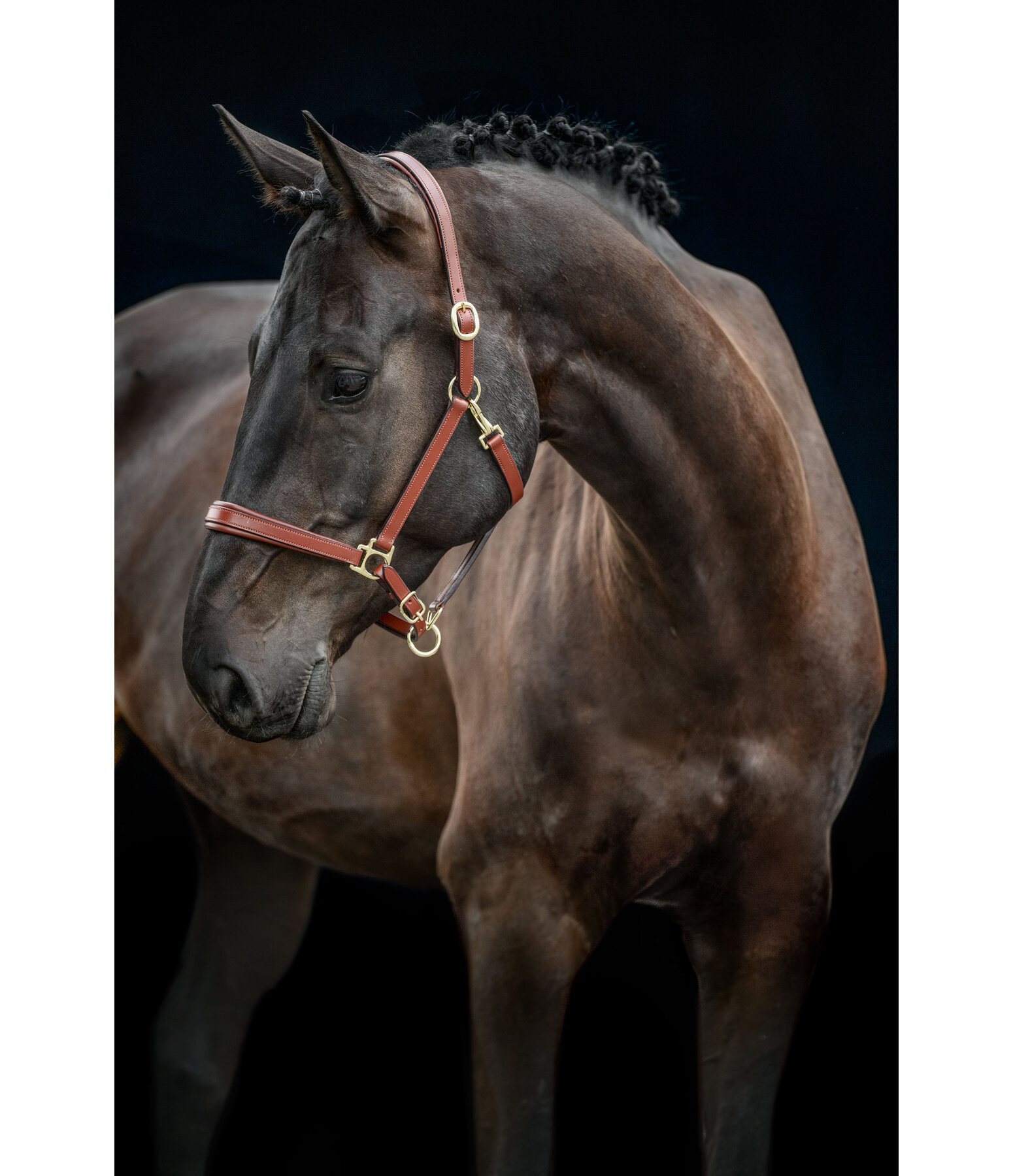 lederen halster Siri