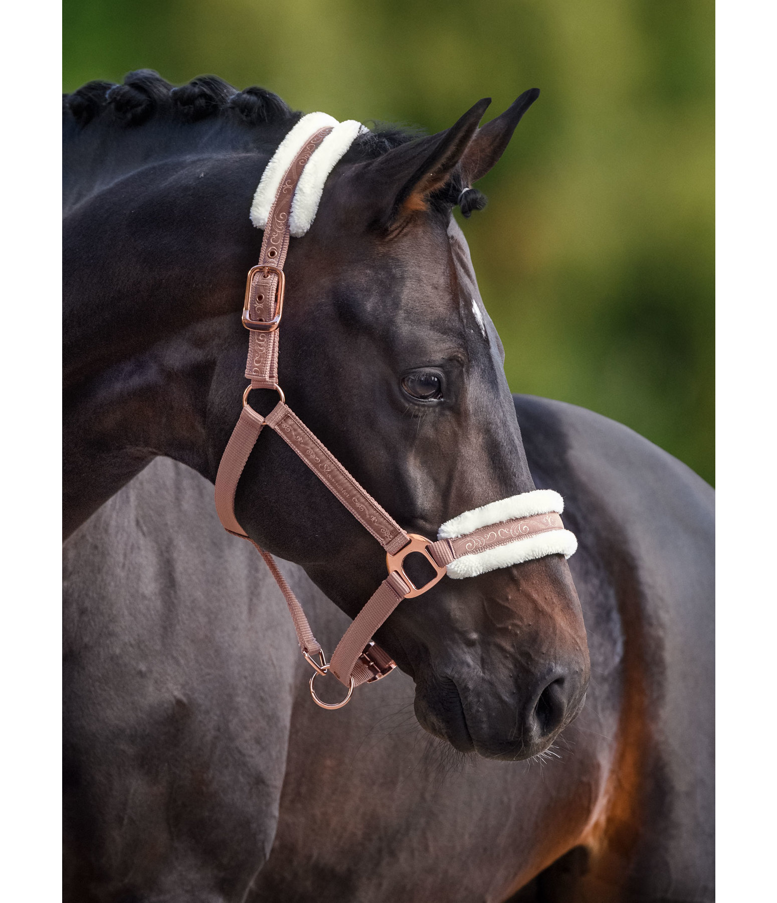 halster Metallic Love