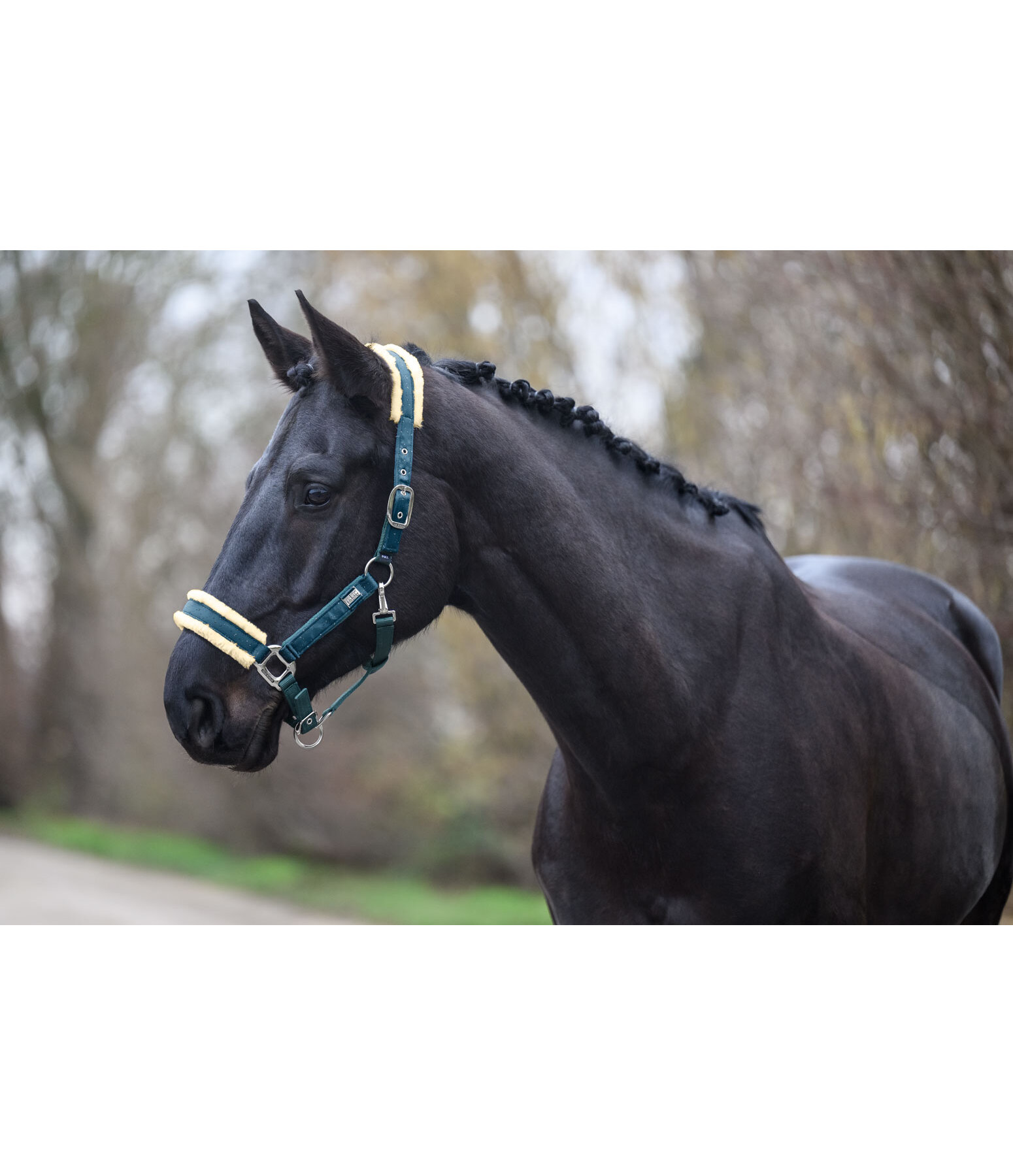 halster Sparkling II