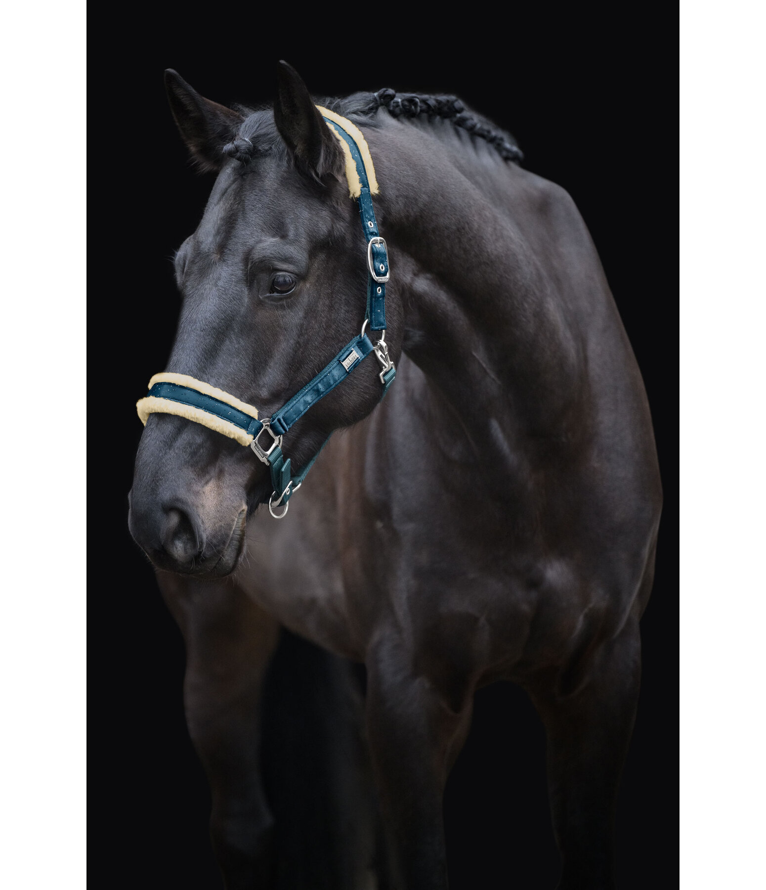 halster Sparkling II