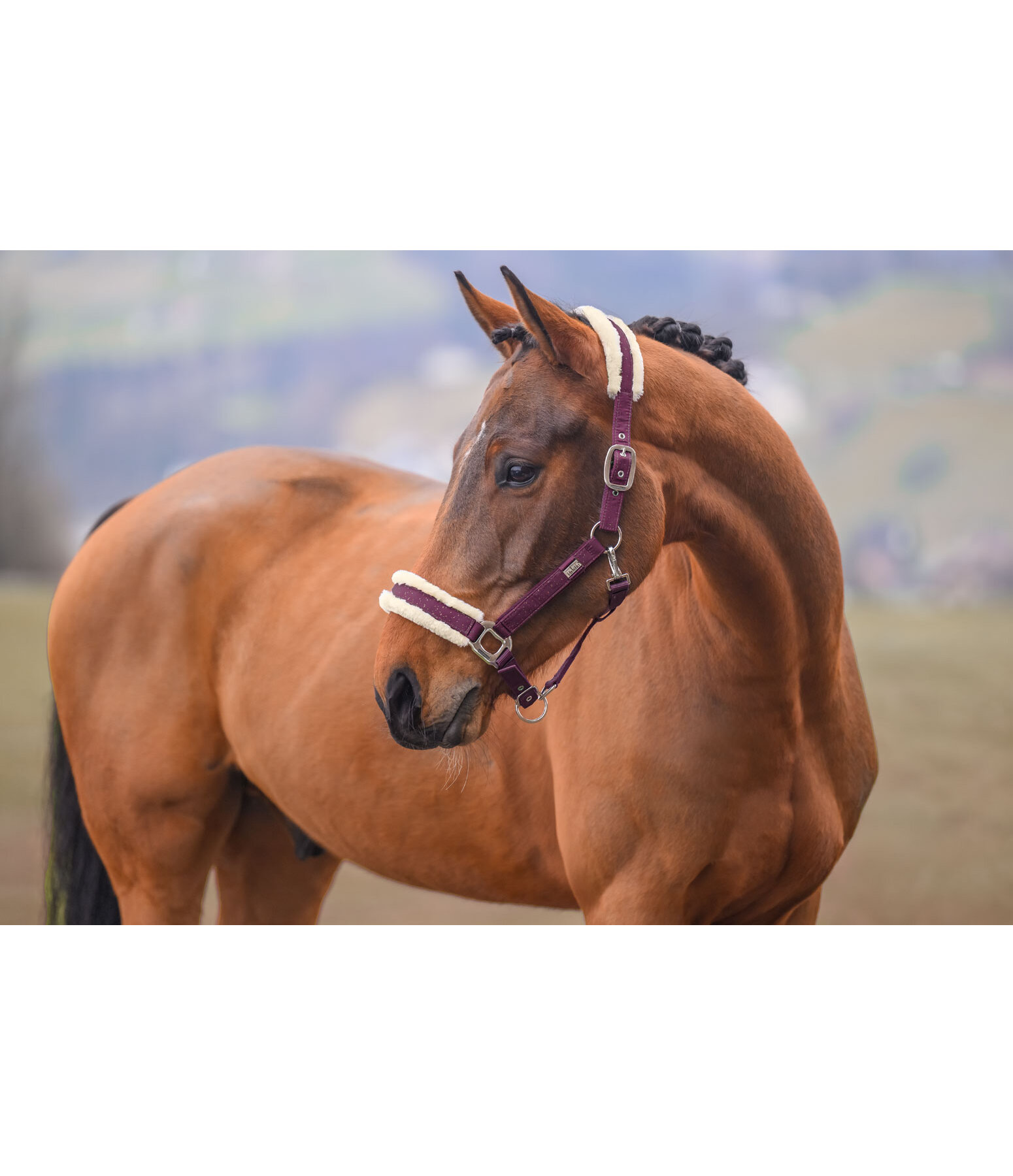 halster Sparkling II