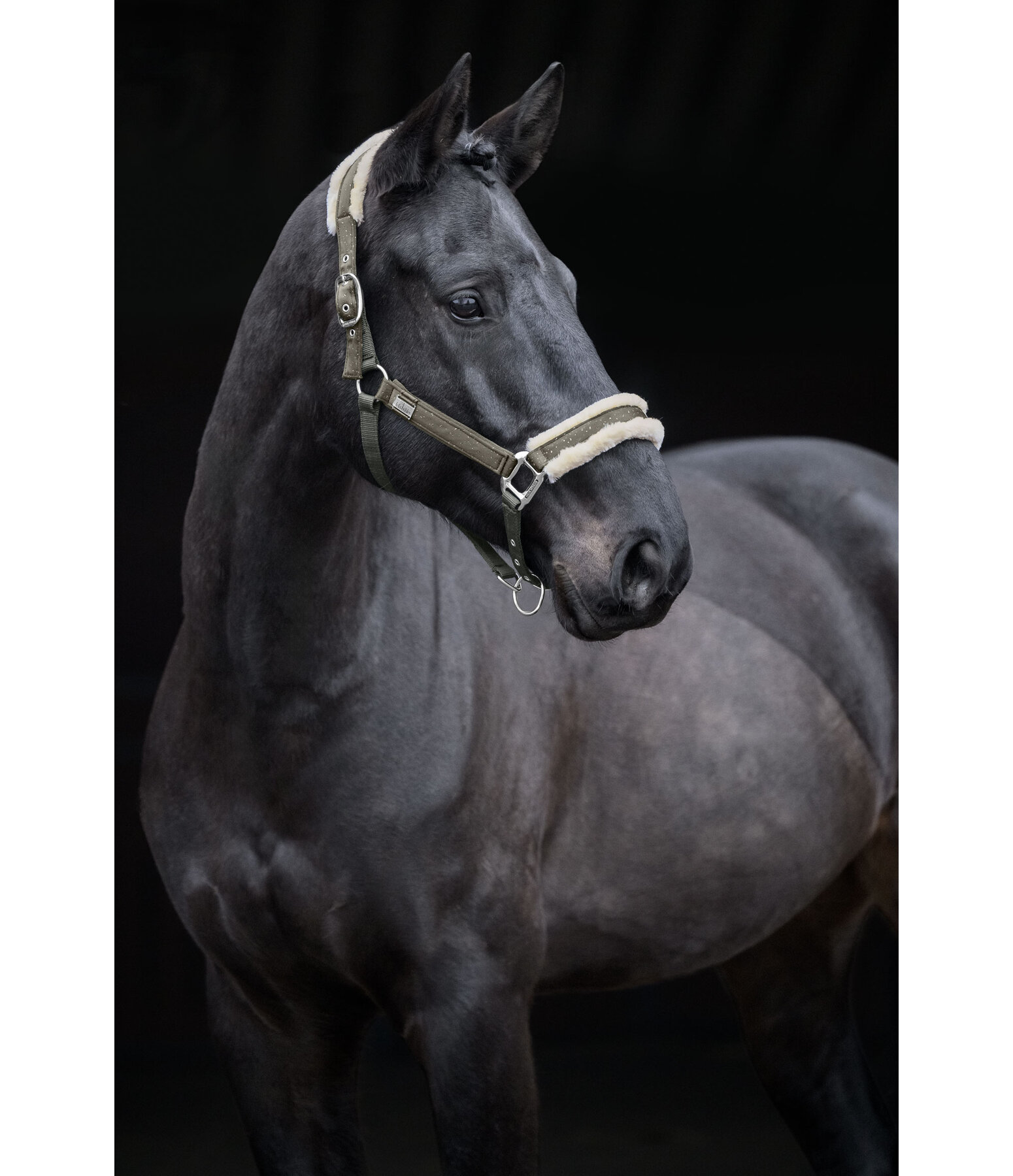 halster Sparkling II