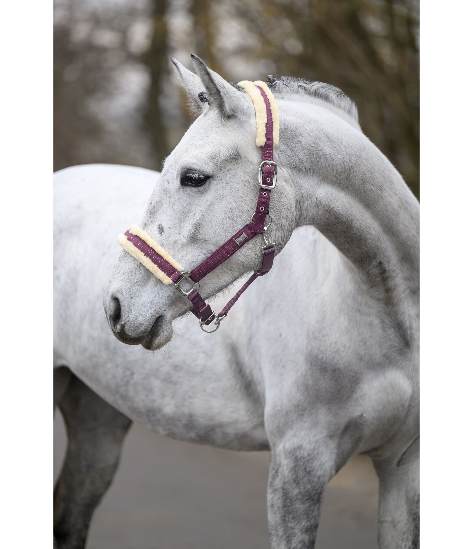 halster Sparkling II