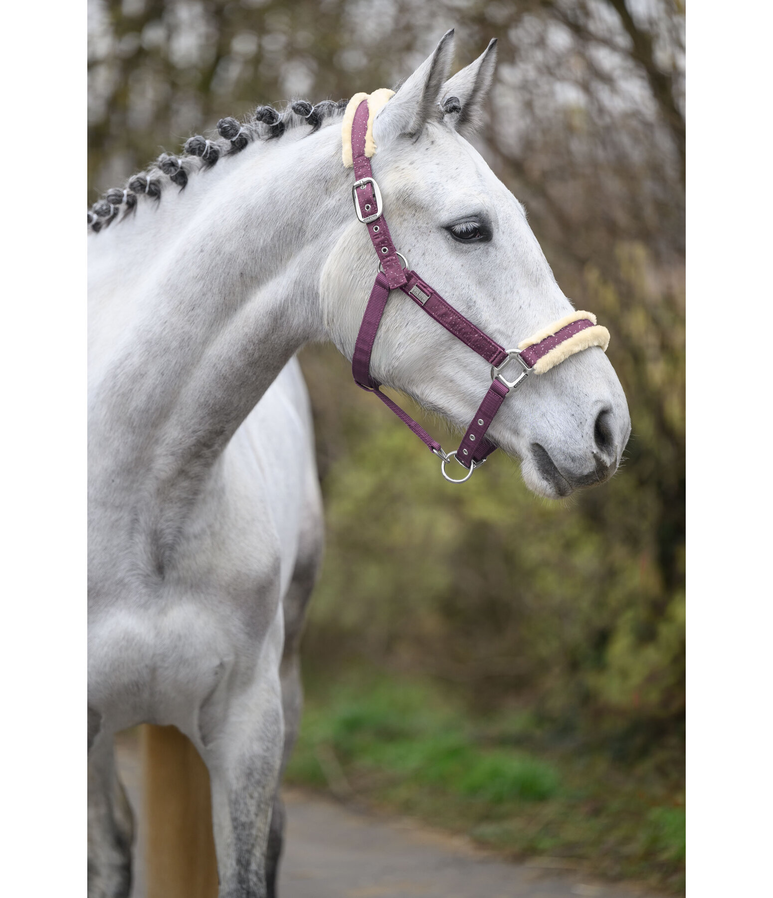 halster Sparkling II