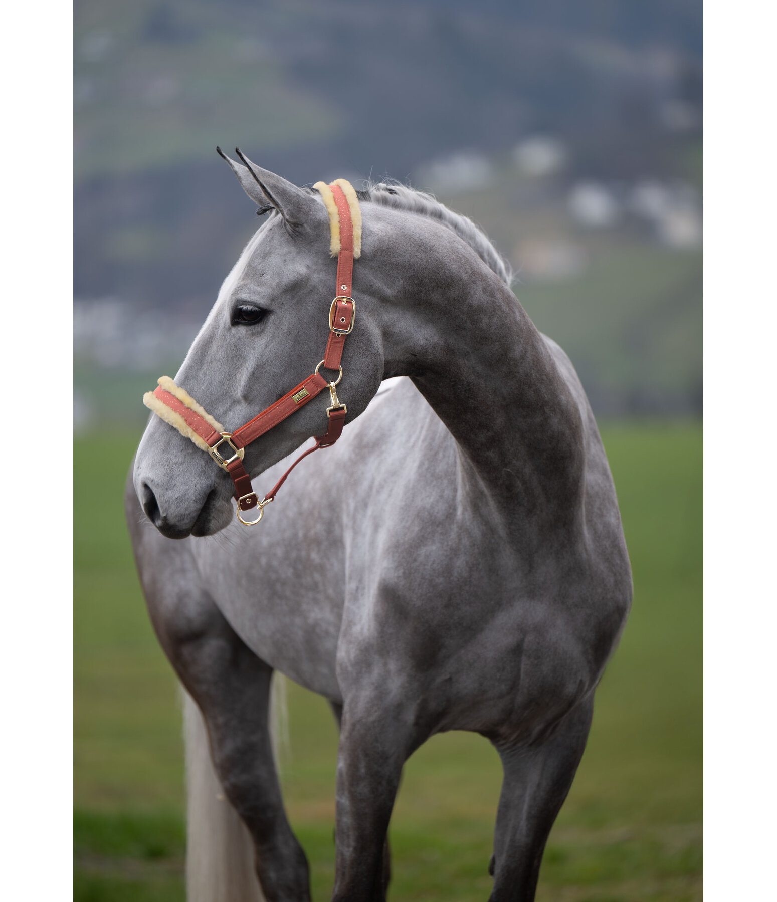 halster Sparkling II