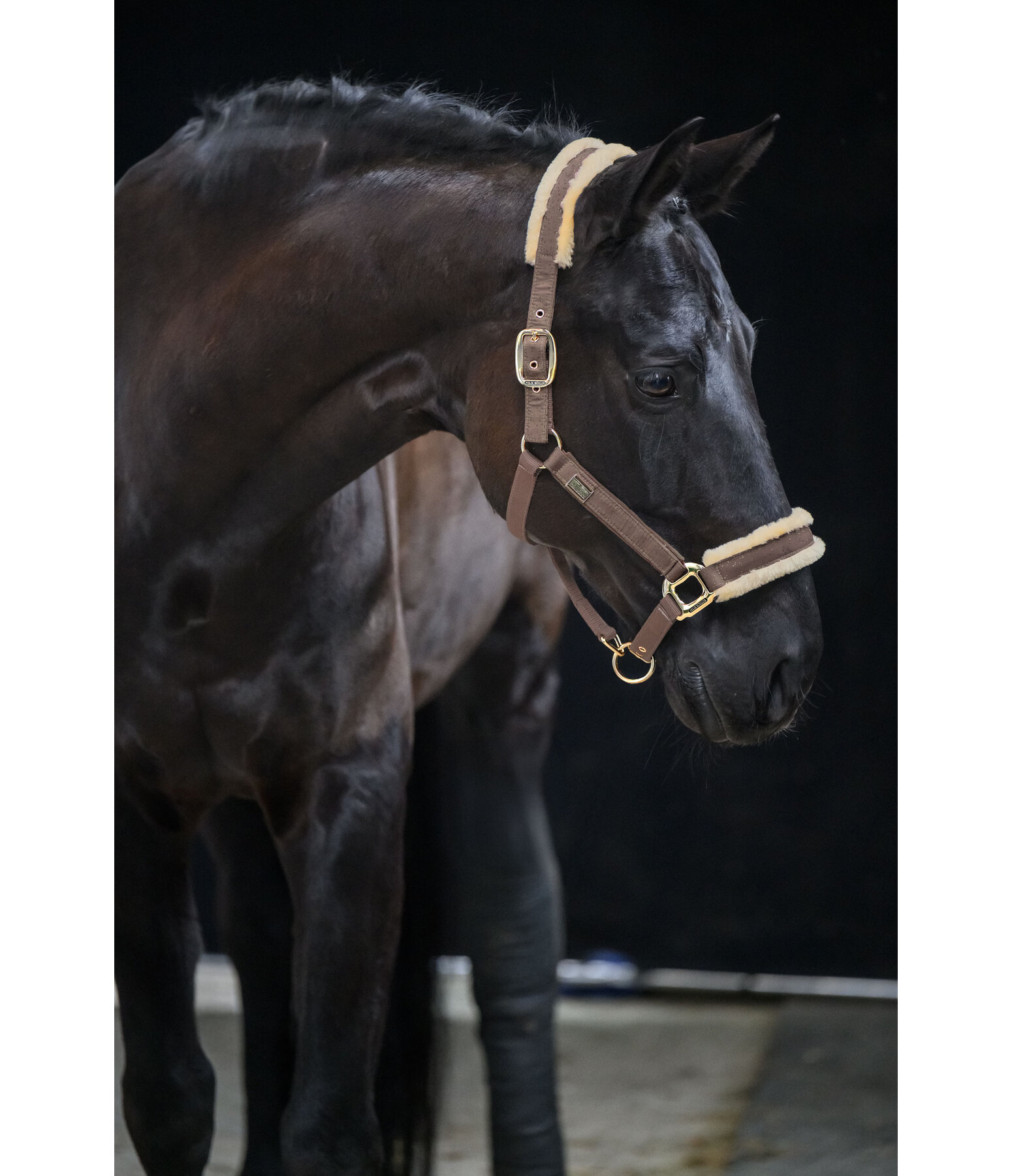 halster Sparkling II