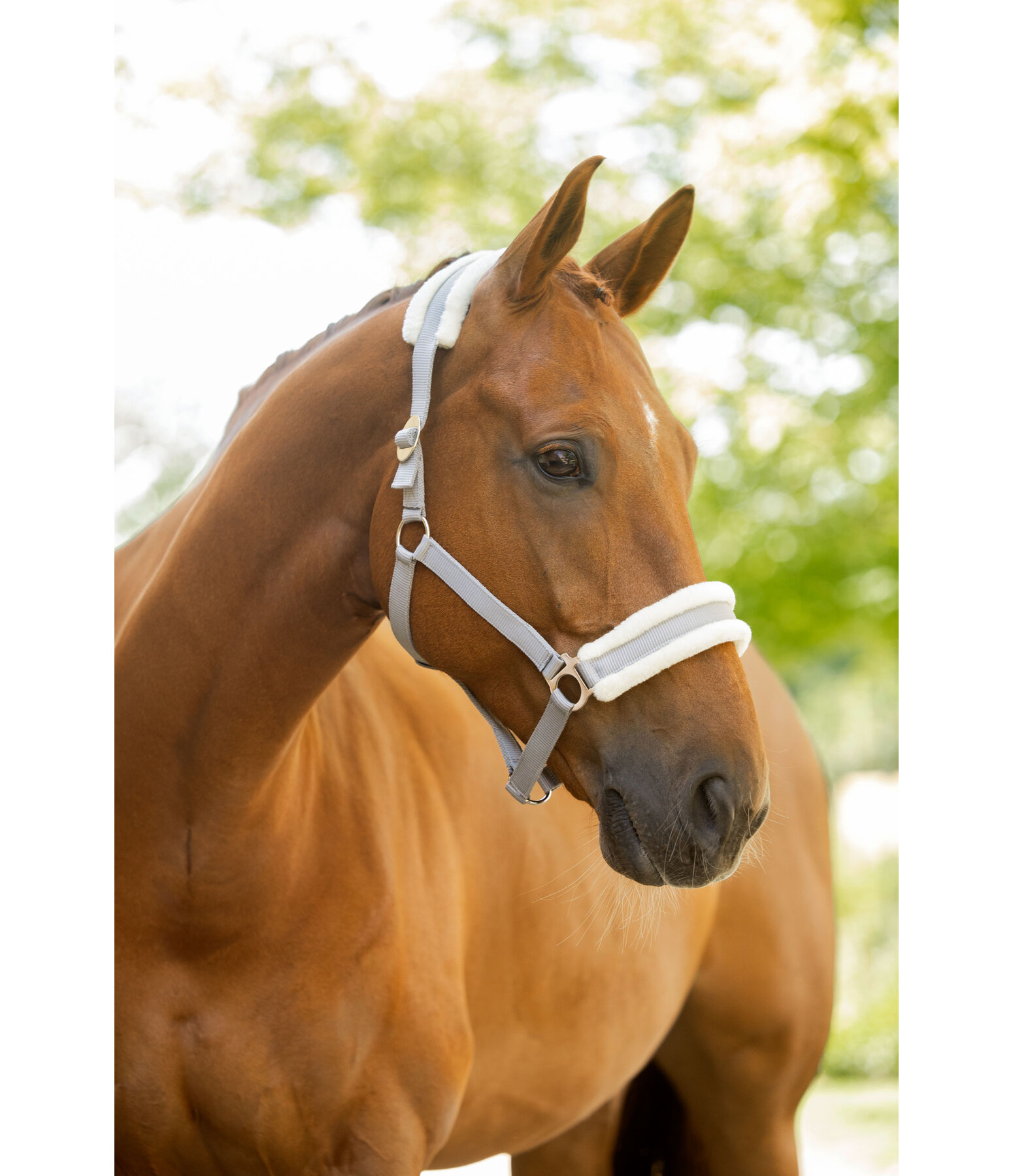 teddyfleece halster super voordelig III