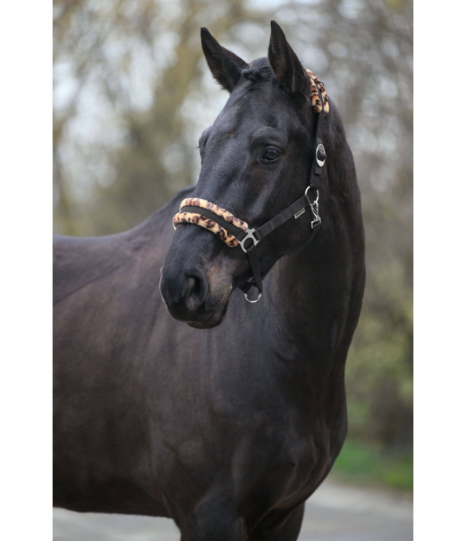 teddyfleece halster super voordelig III