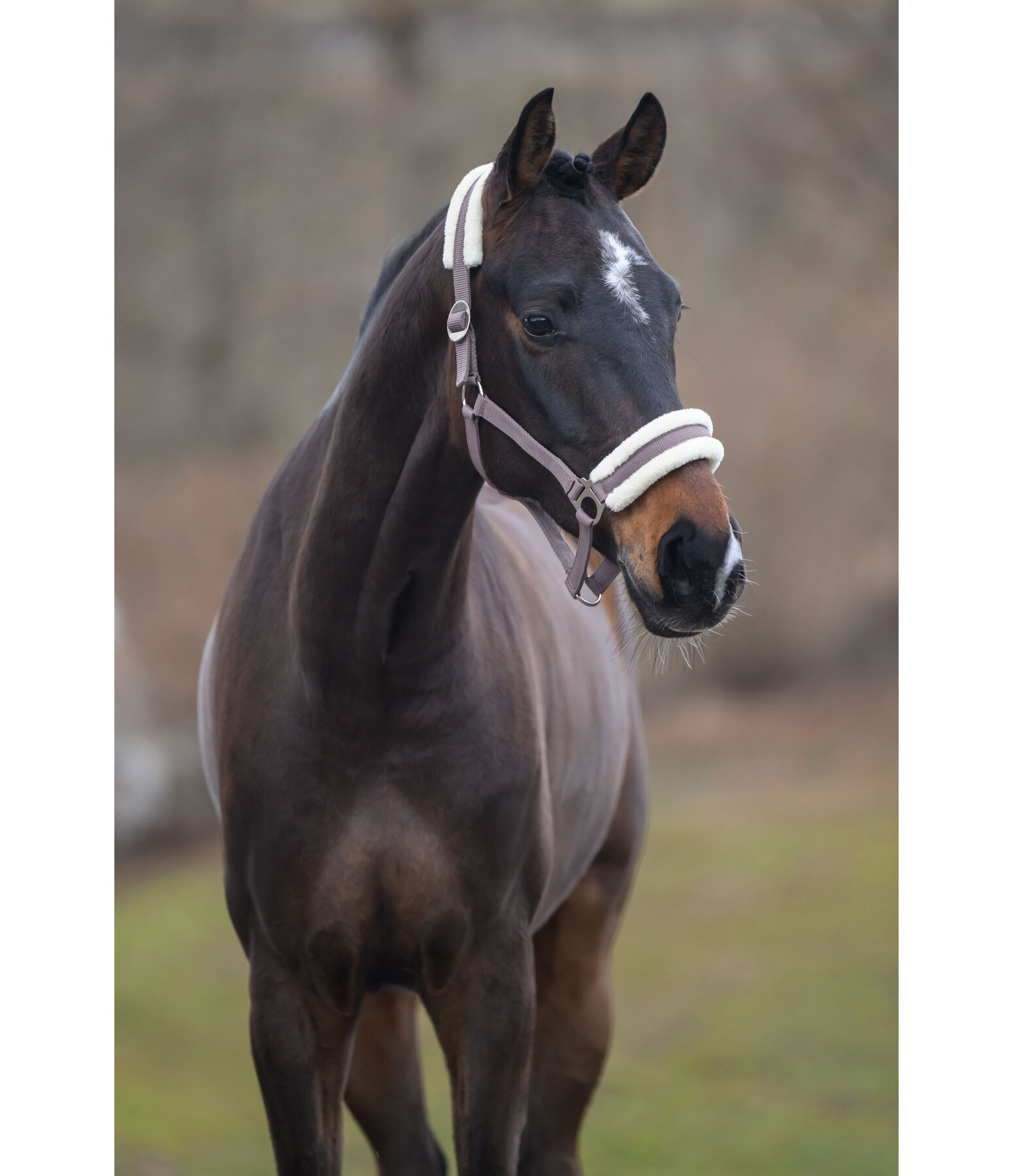 teddyfleece halster super voordelig III