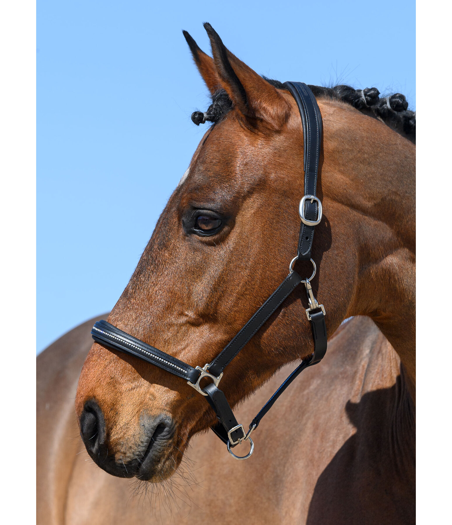 Mijnenveld Ronde Geelachtig lederen halster Selina met glitter steentjes - Kramer Paardensport