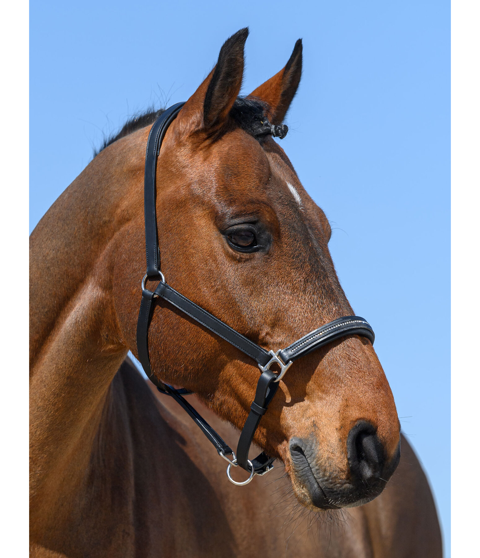 Mijnenveld Ronde Geelachtig lederen halster Selina met glitter steentjes - Kramer Paardensport