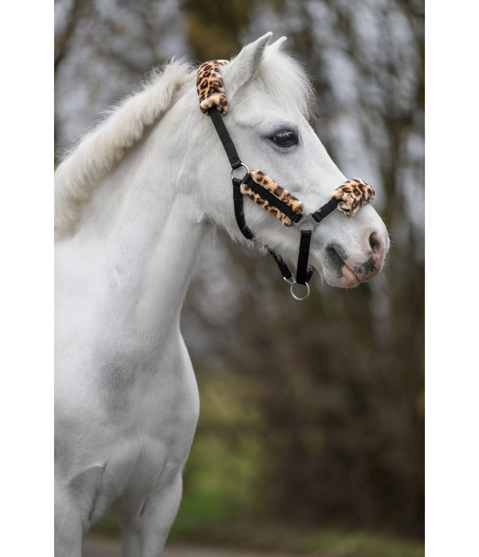 veulen & shetty teddyfleece halster Cozy verstelbaar