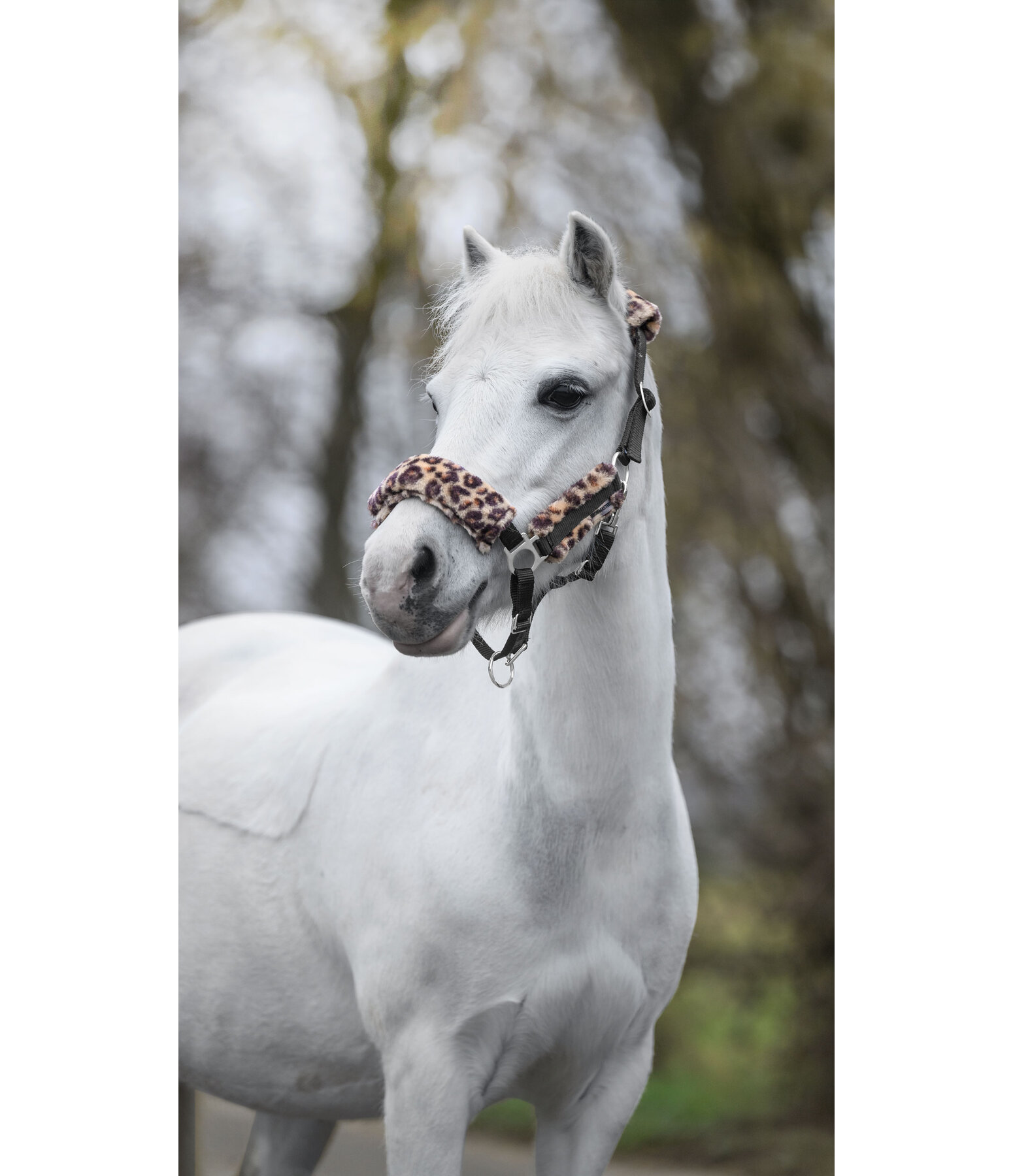 veulen & shetty teddyfleece halster Cozy verstelbaar