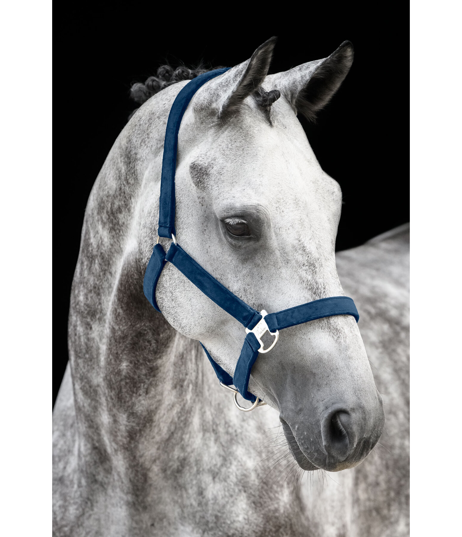 halster Velvet