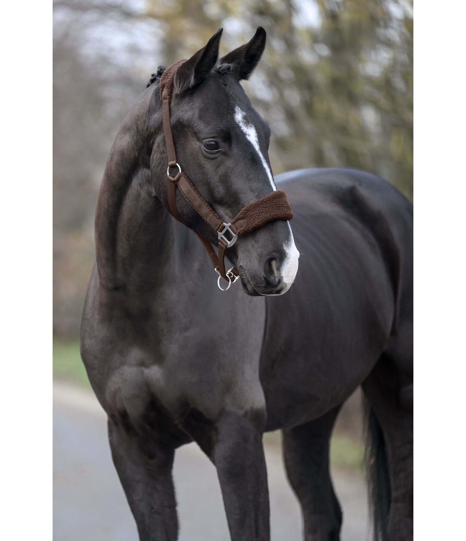 teddyfleece halster