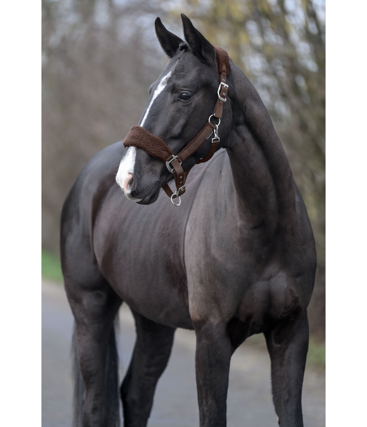 teddyfleece halster