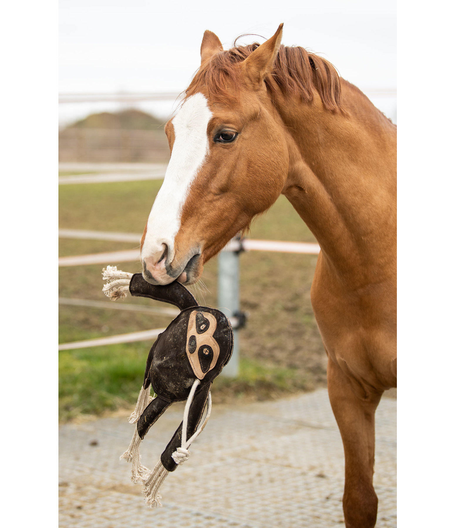 paardenspeelgoed Luiaard