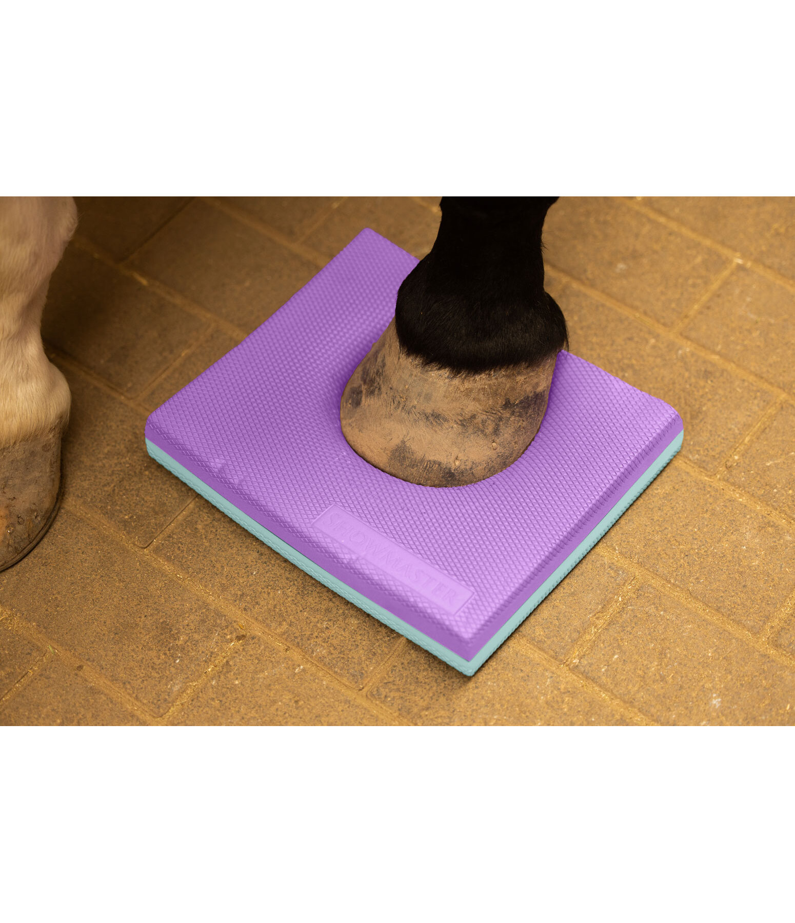 Balance Pad