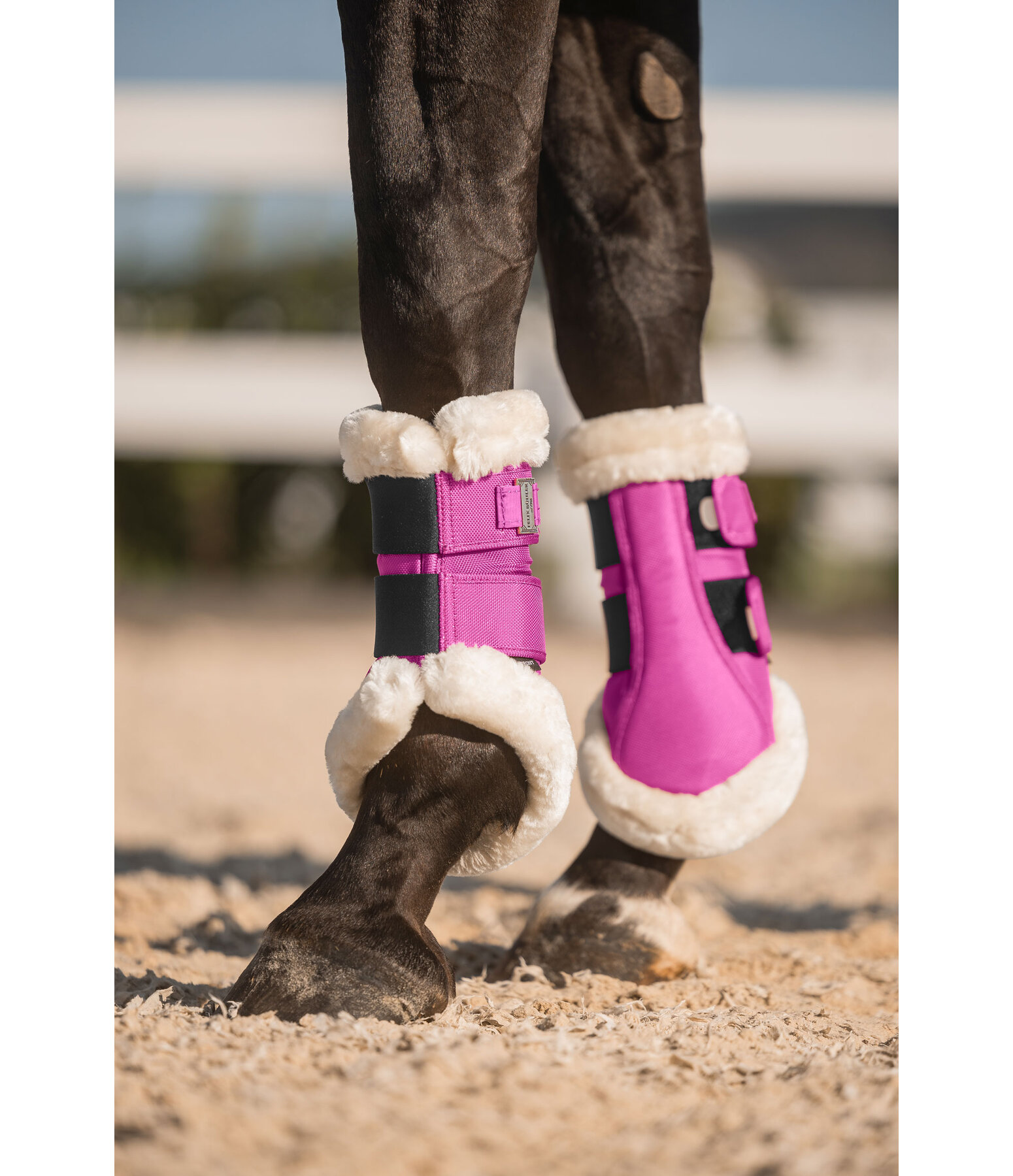 teddyfleece dressuur beenbeschermers Essential, voorbenen