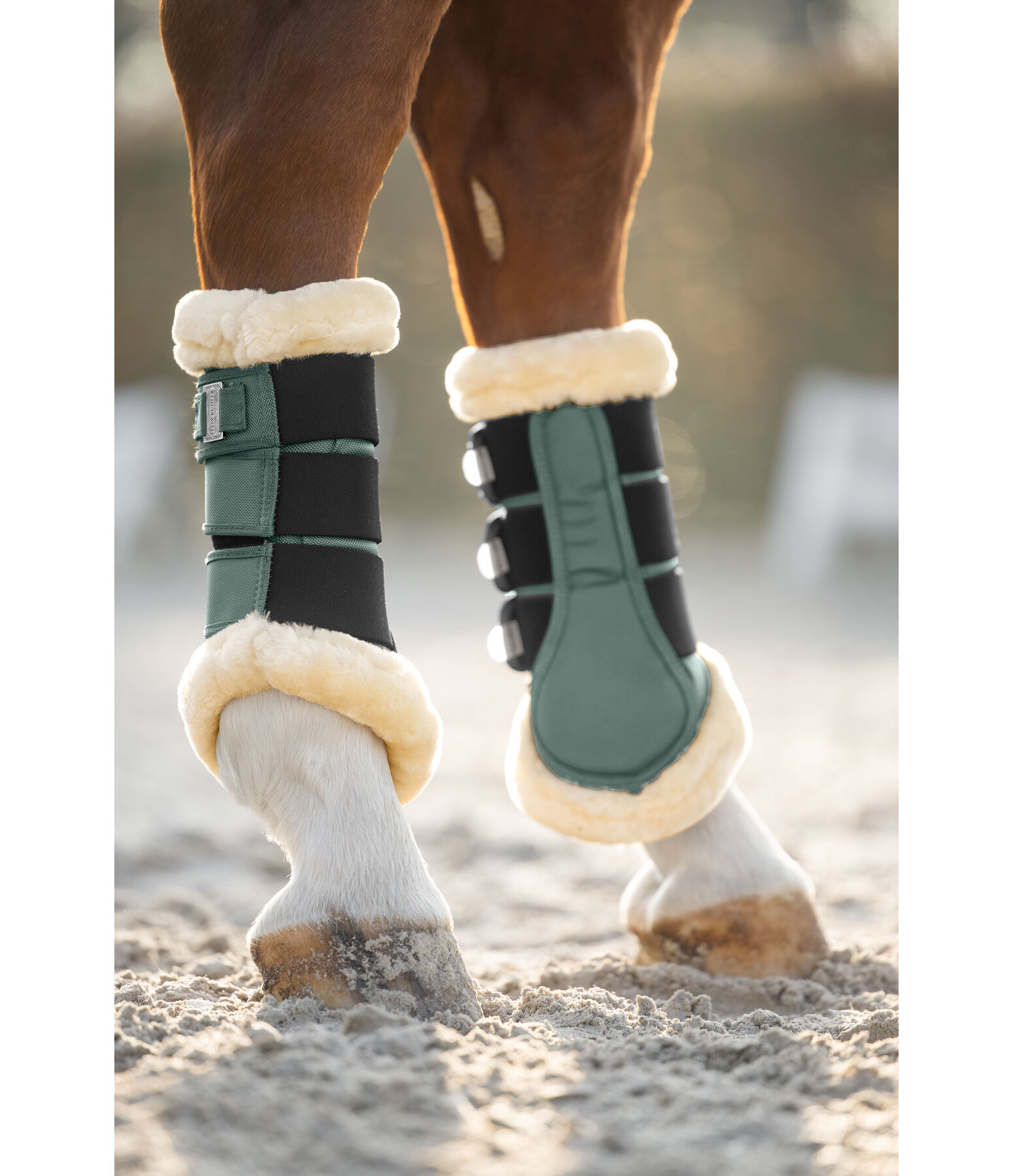 teddyfleece dressuur beenbeschermers Essential, achterbenen